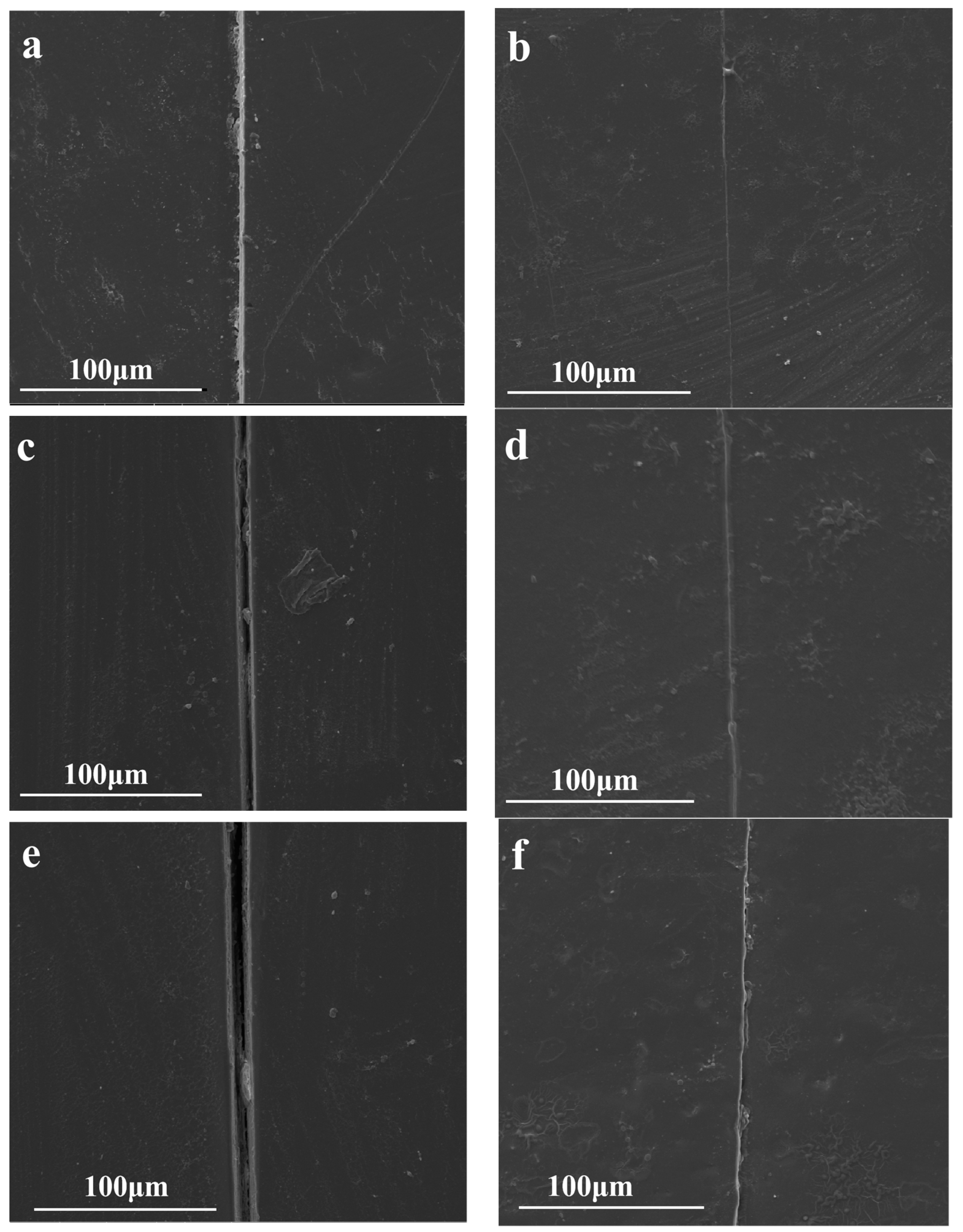 Polymers 16 00090 g012