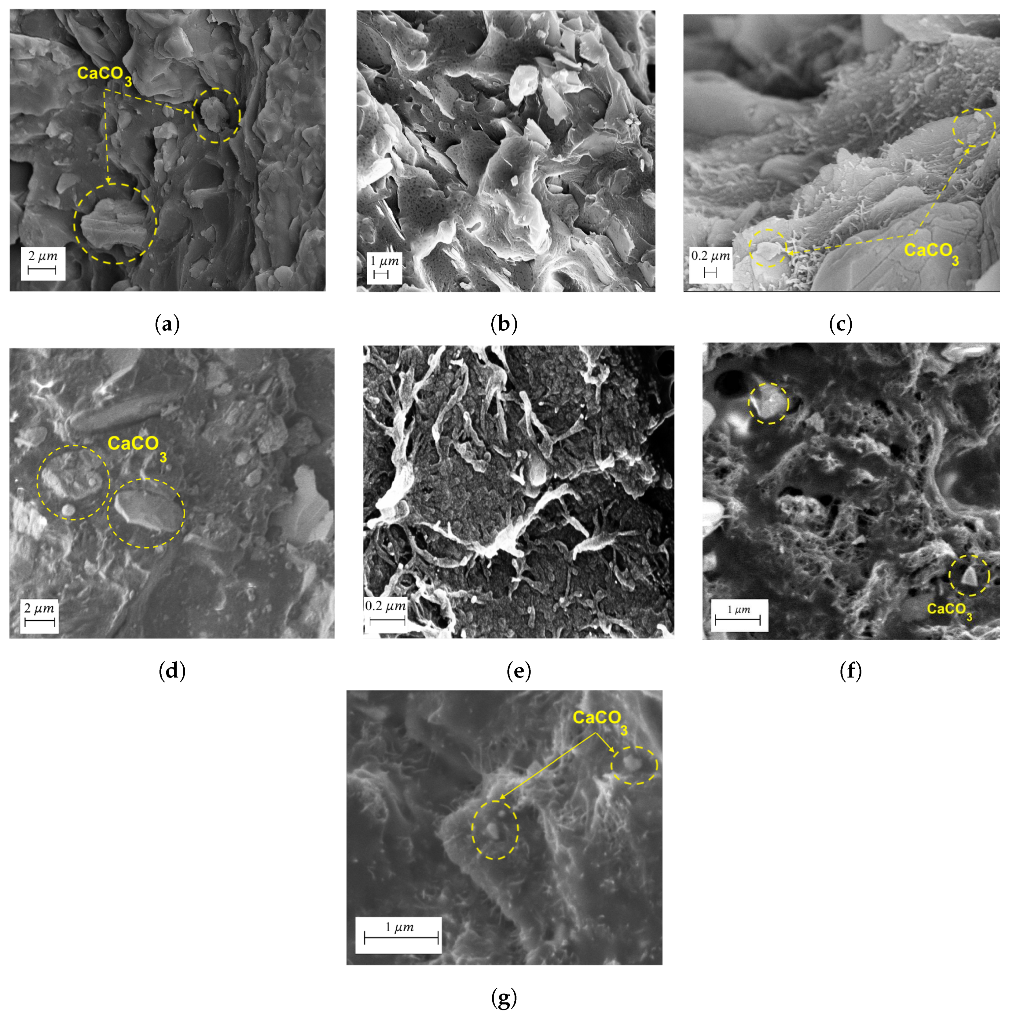 Polymers 16 00120 g002