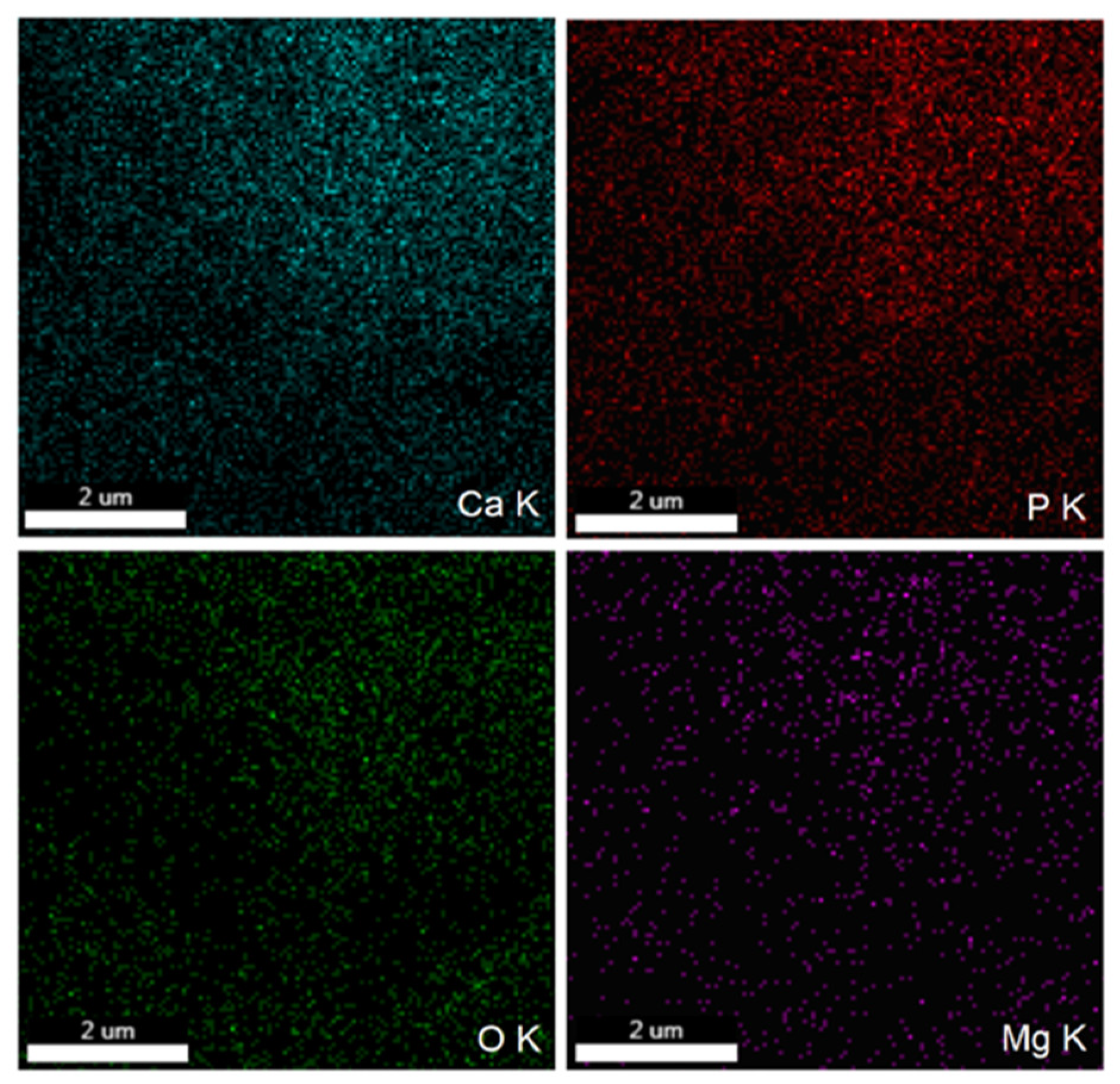 Polymers 16 00125 g003