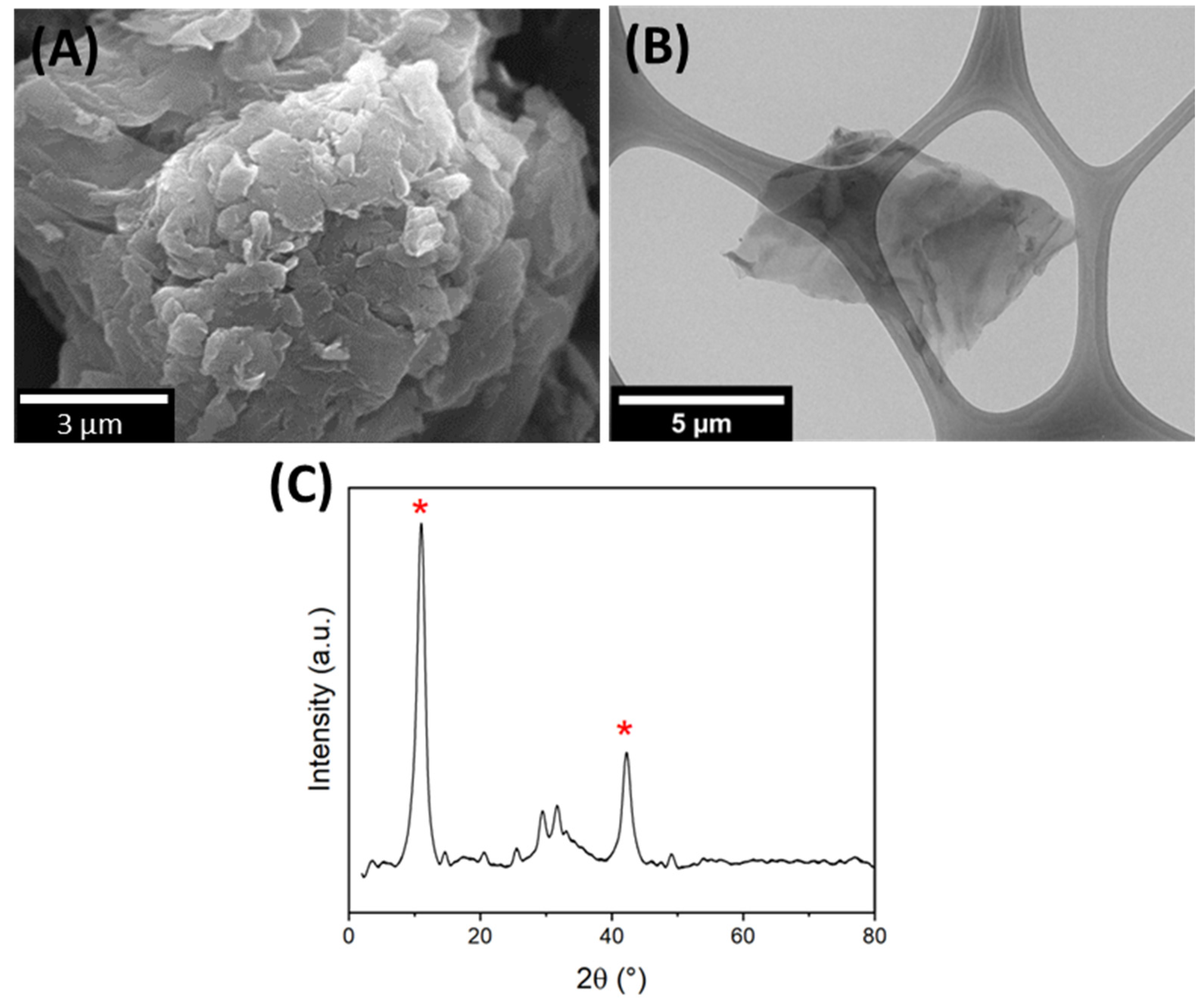 Polymers 16 00129 g001