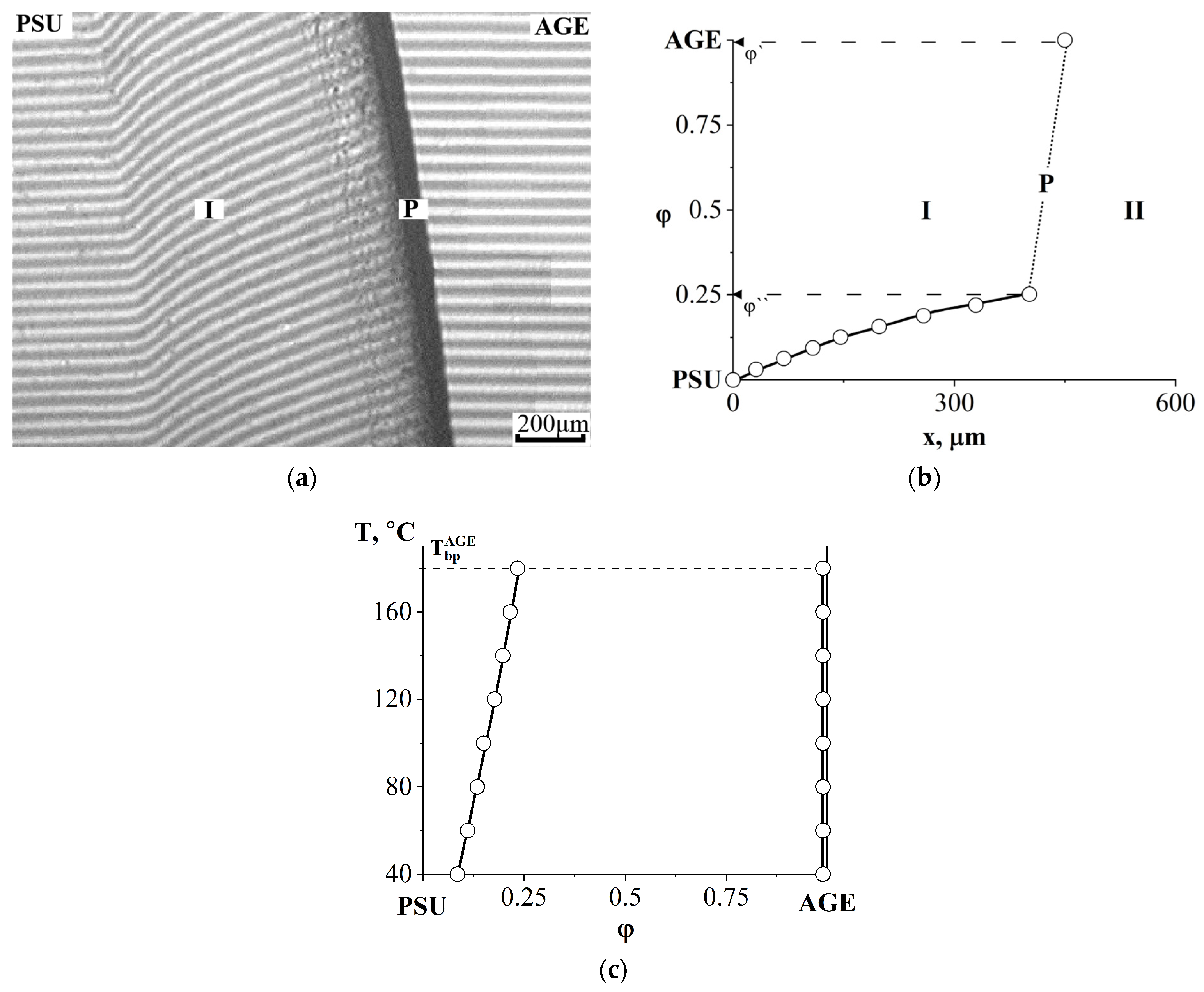 Polymers 16 00130 g008