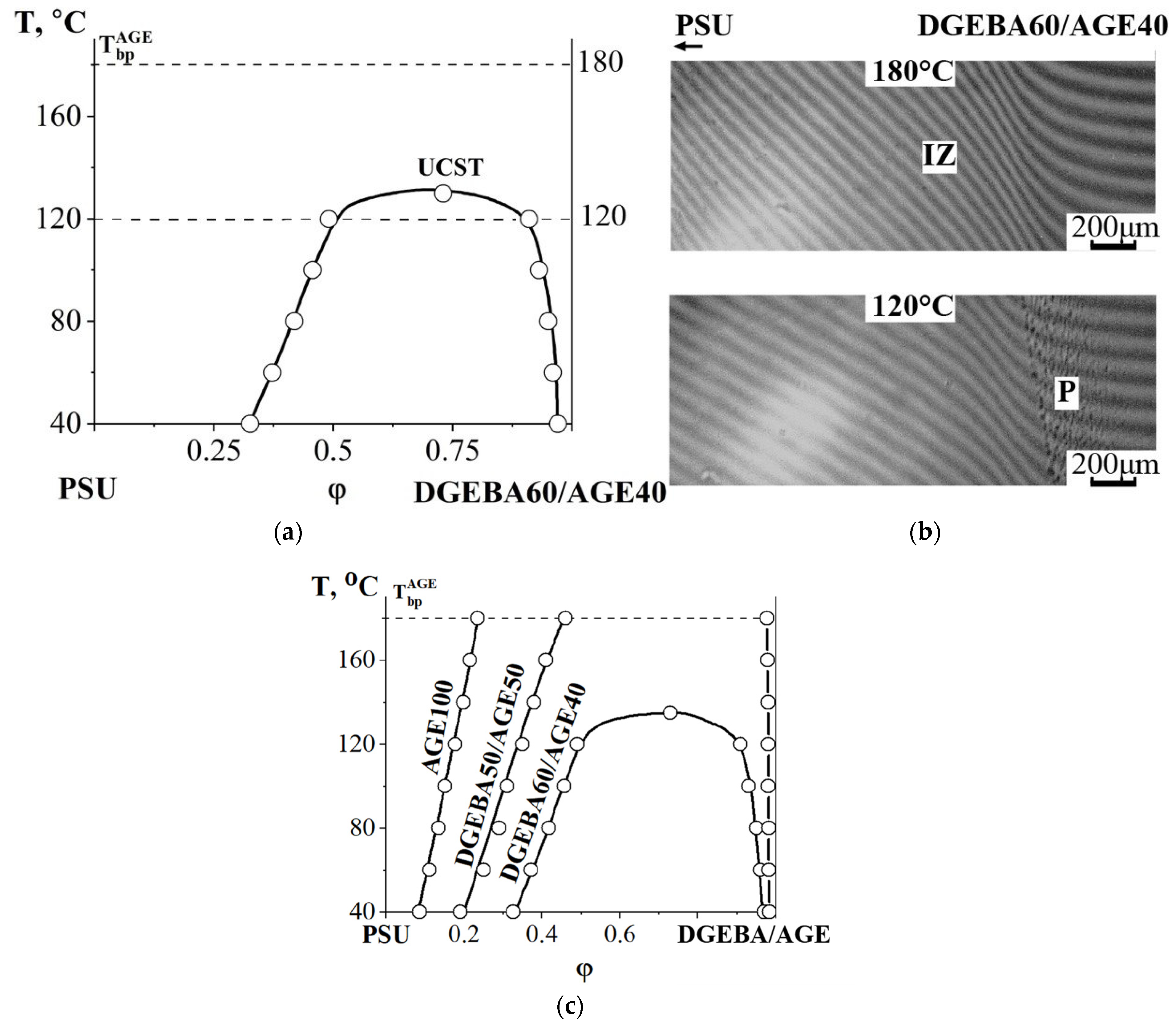 Polymers 16 00130 g011