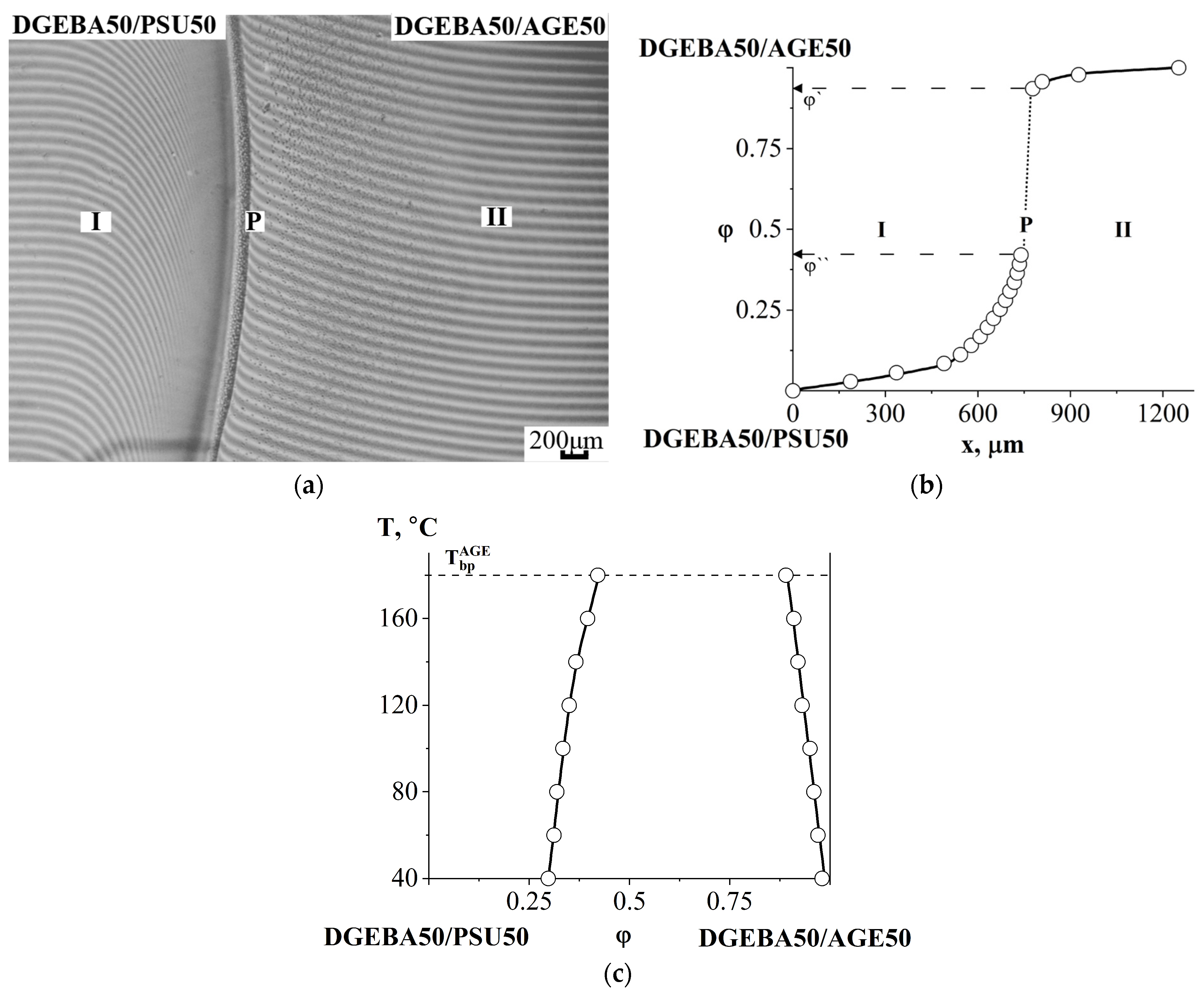 Polymers 16 00130 g012