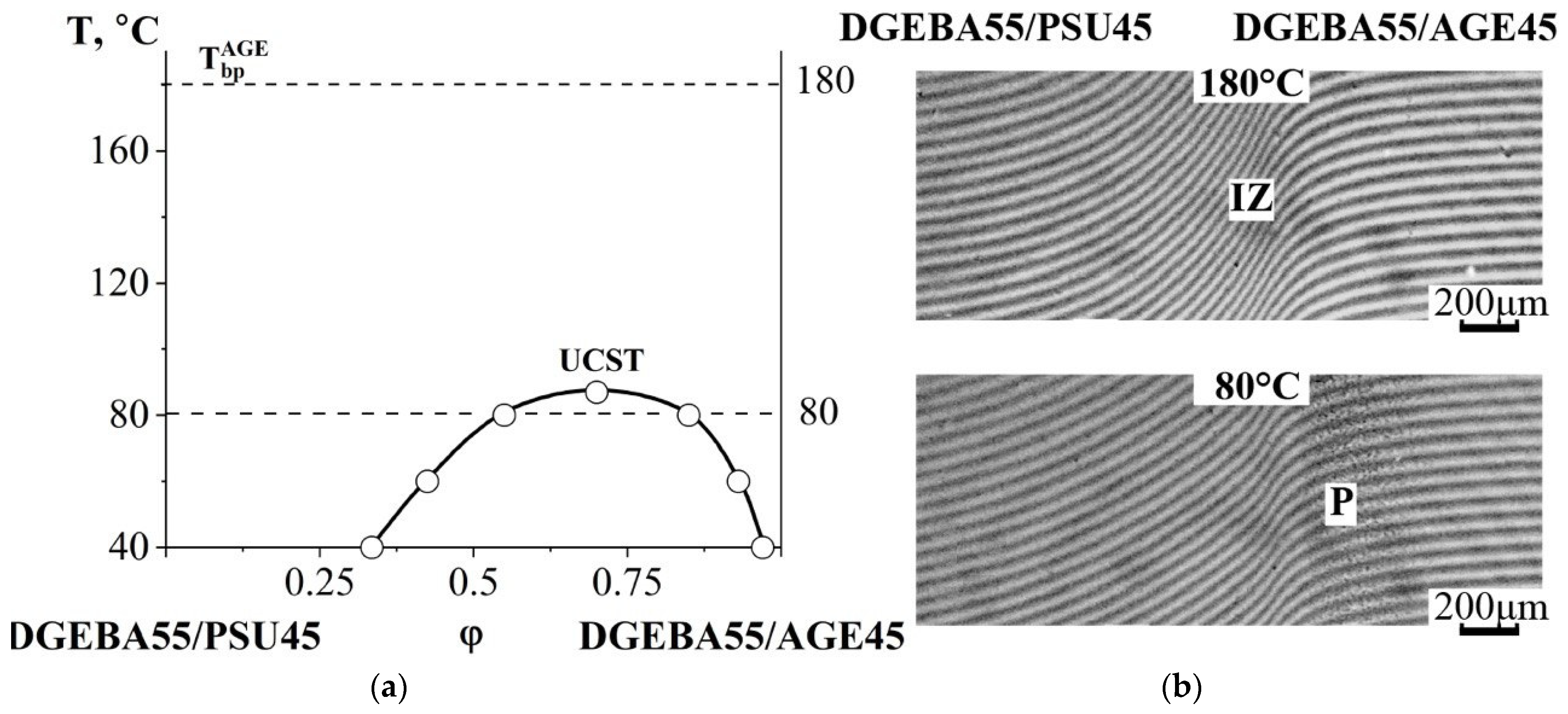 Polymers 16 00130 g013