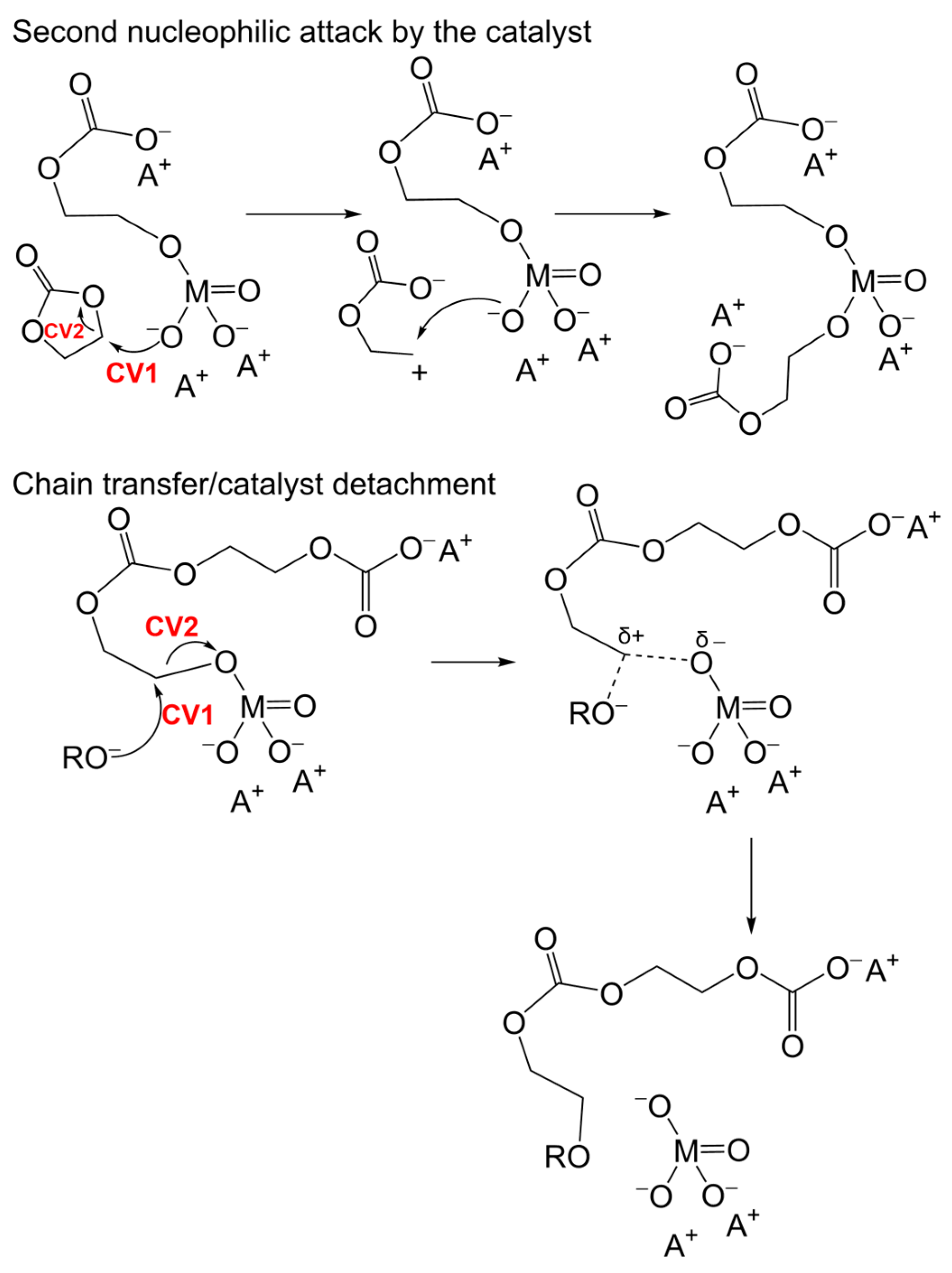 Polymers 16 00136 g013