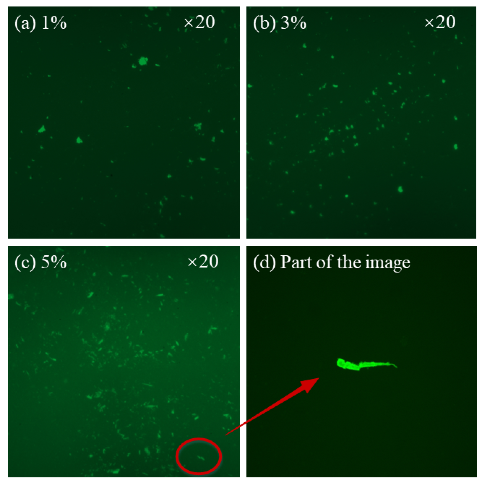 Polymers 16 00153 g014
