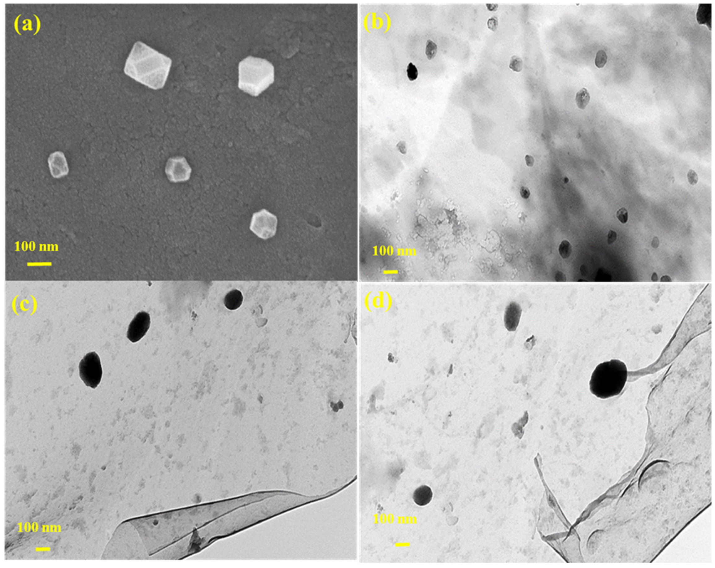 Polymers 16 00162 g001