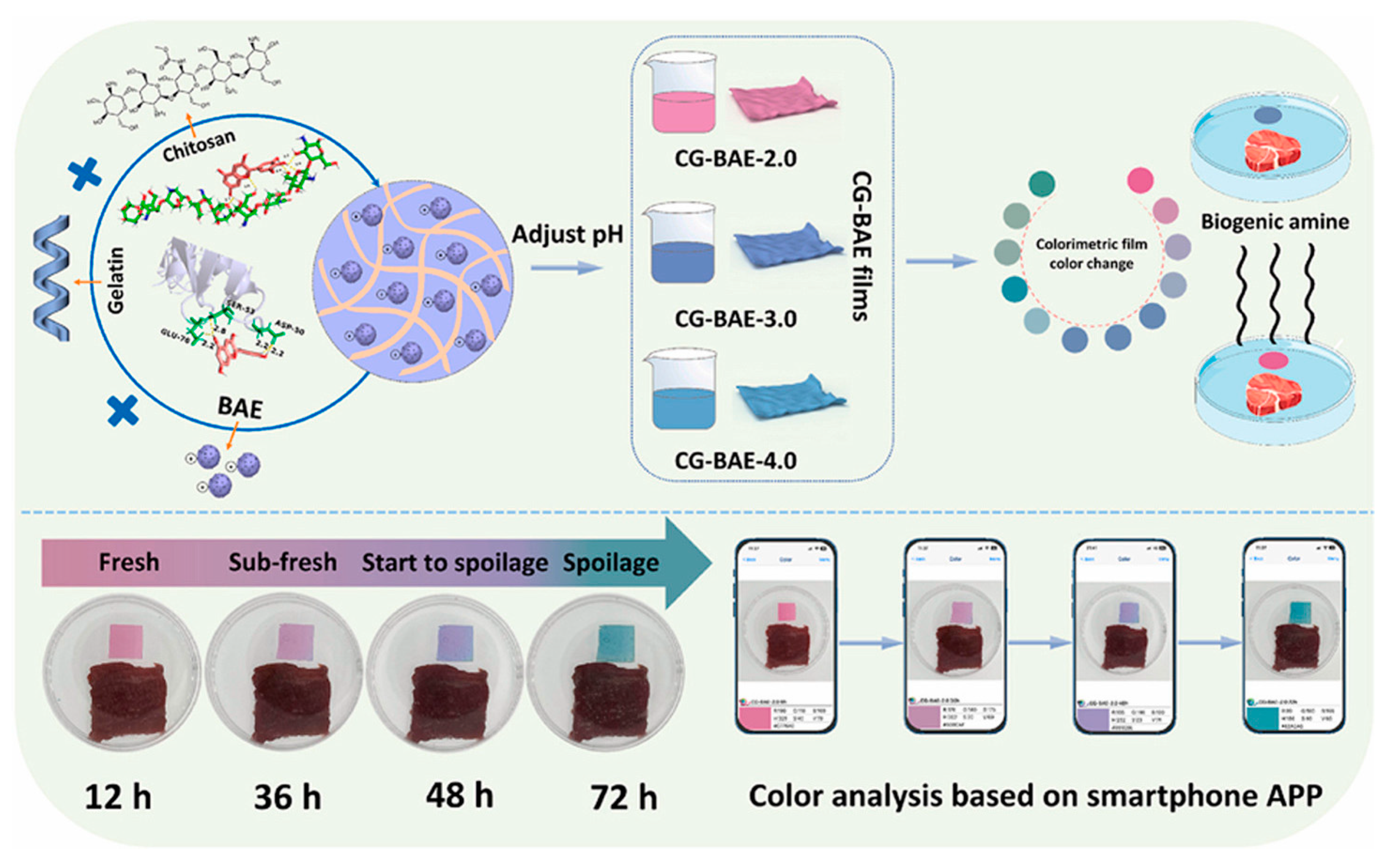 Polymers 16 00163 g004