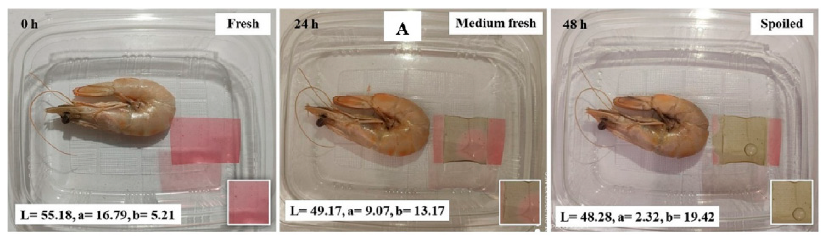 Polymers 16 00163 g007