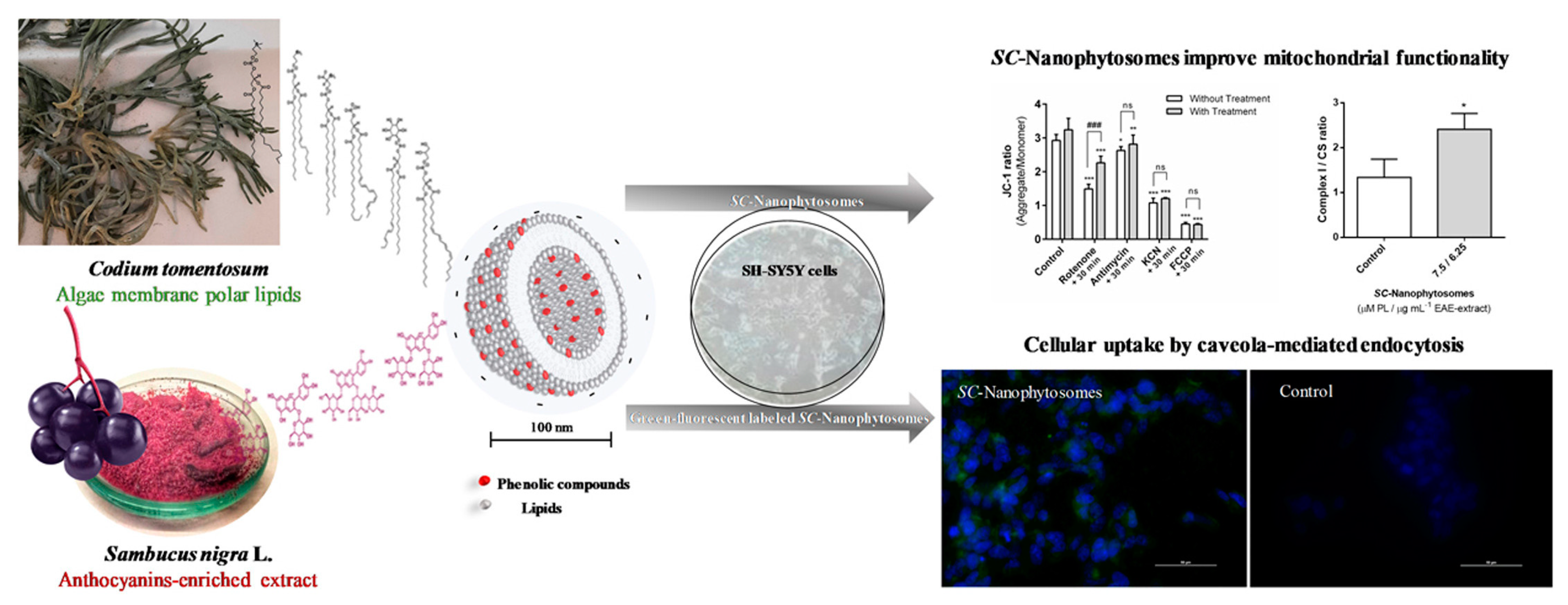 Polymers 16 00163 g011