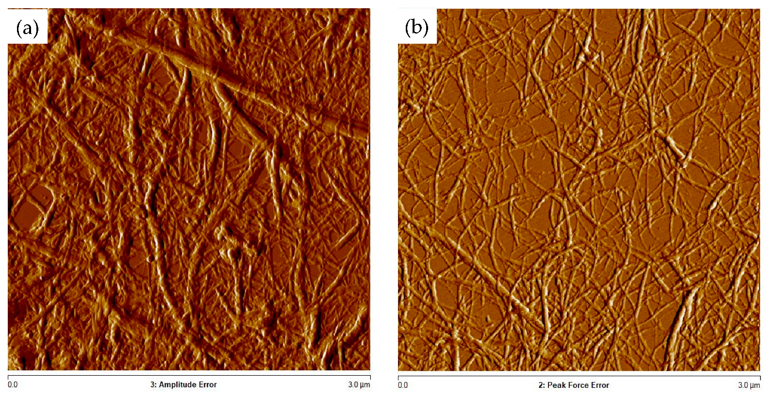 Polymers 16 00164 g005 Polymers 16 00164 g005