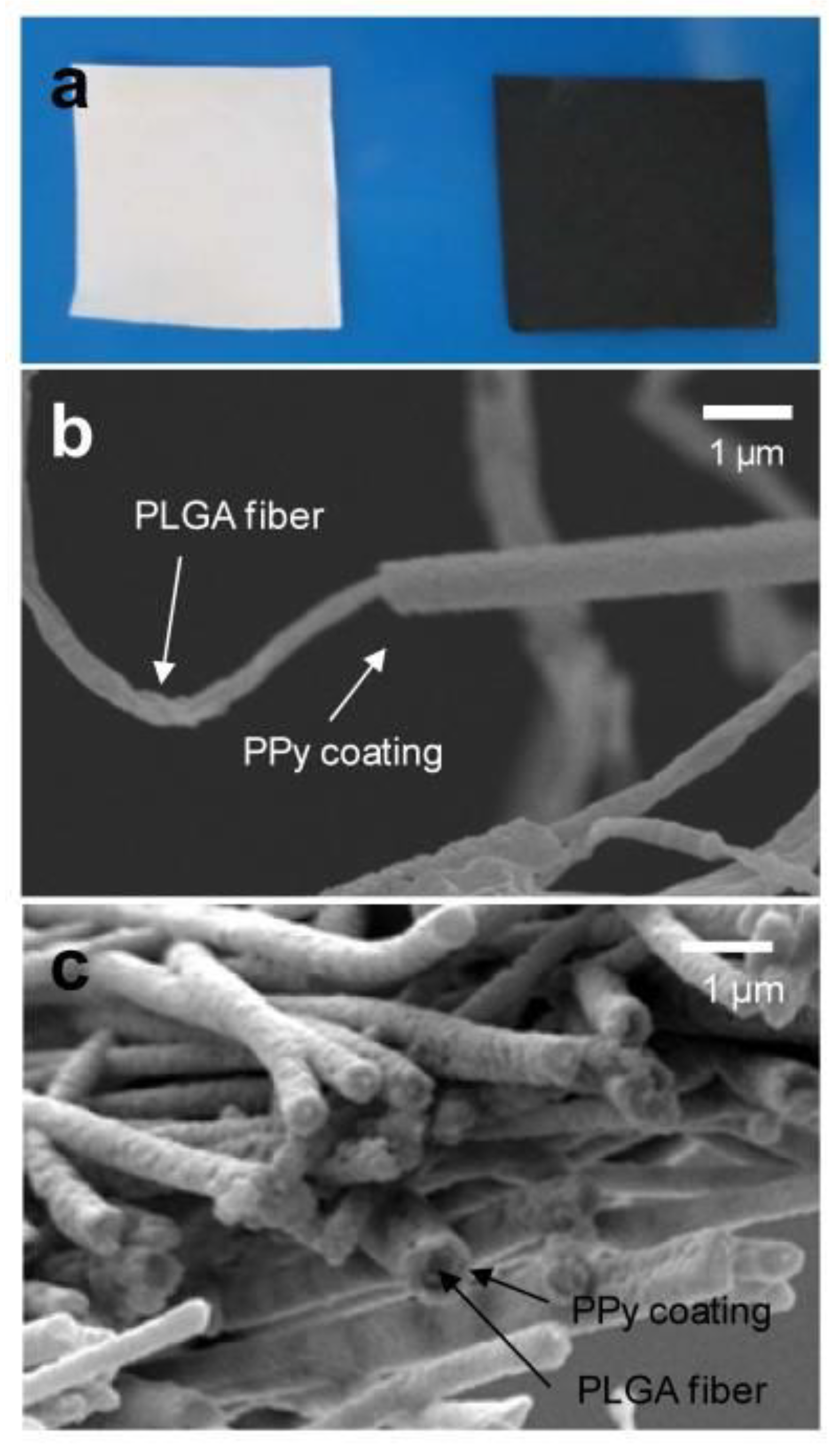 Polymers 16 00165 g007 Polymers 16 00165 g007