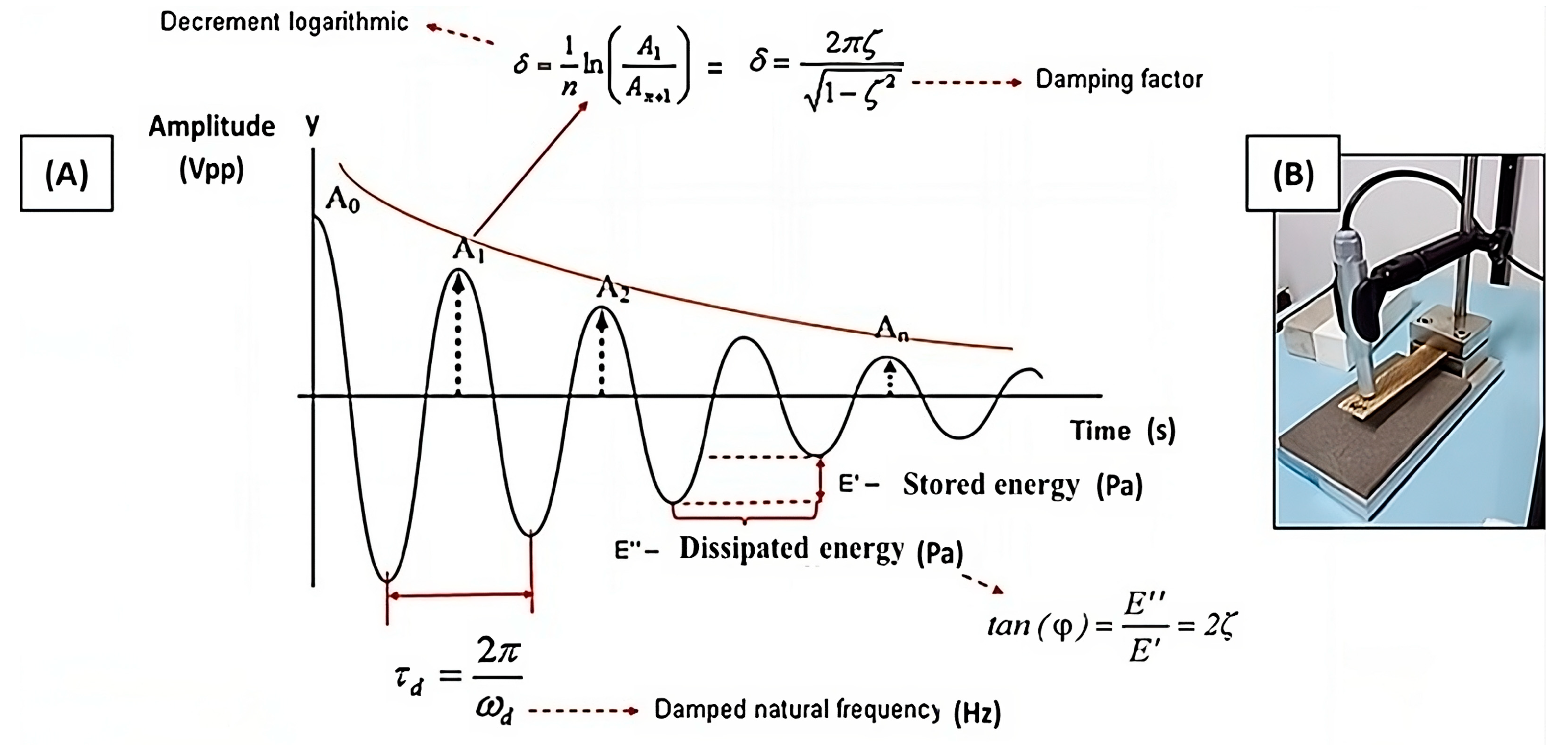 Polymers 16 00166 g002