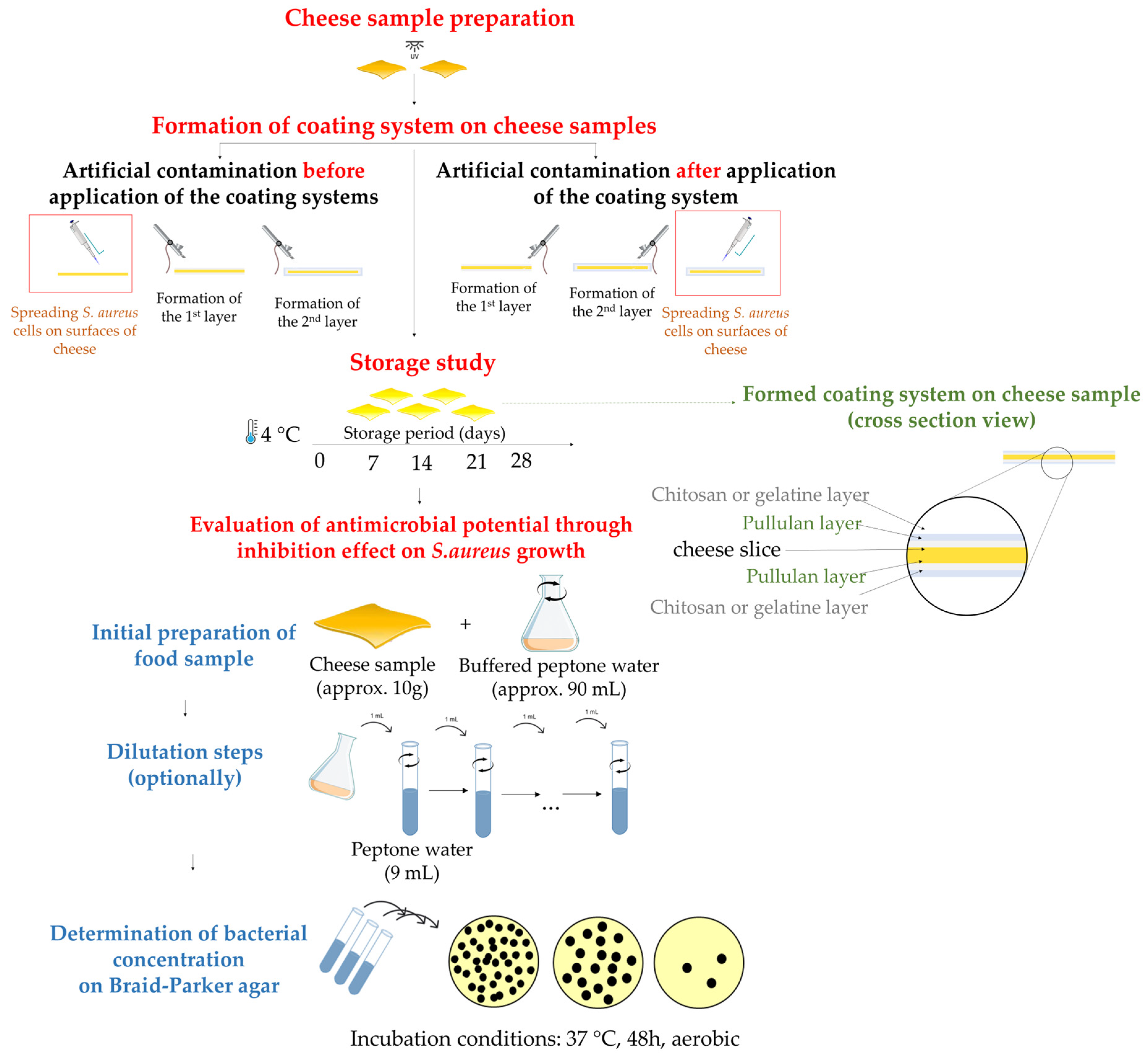 Polymers 16 00178 g001