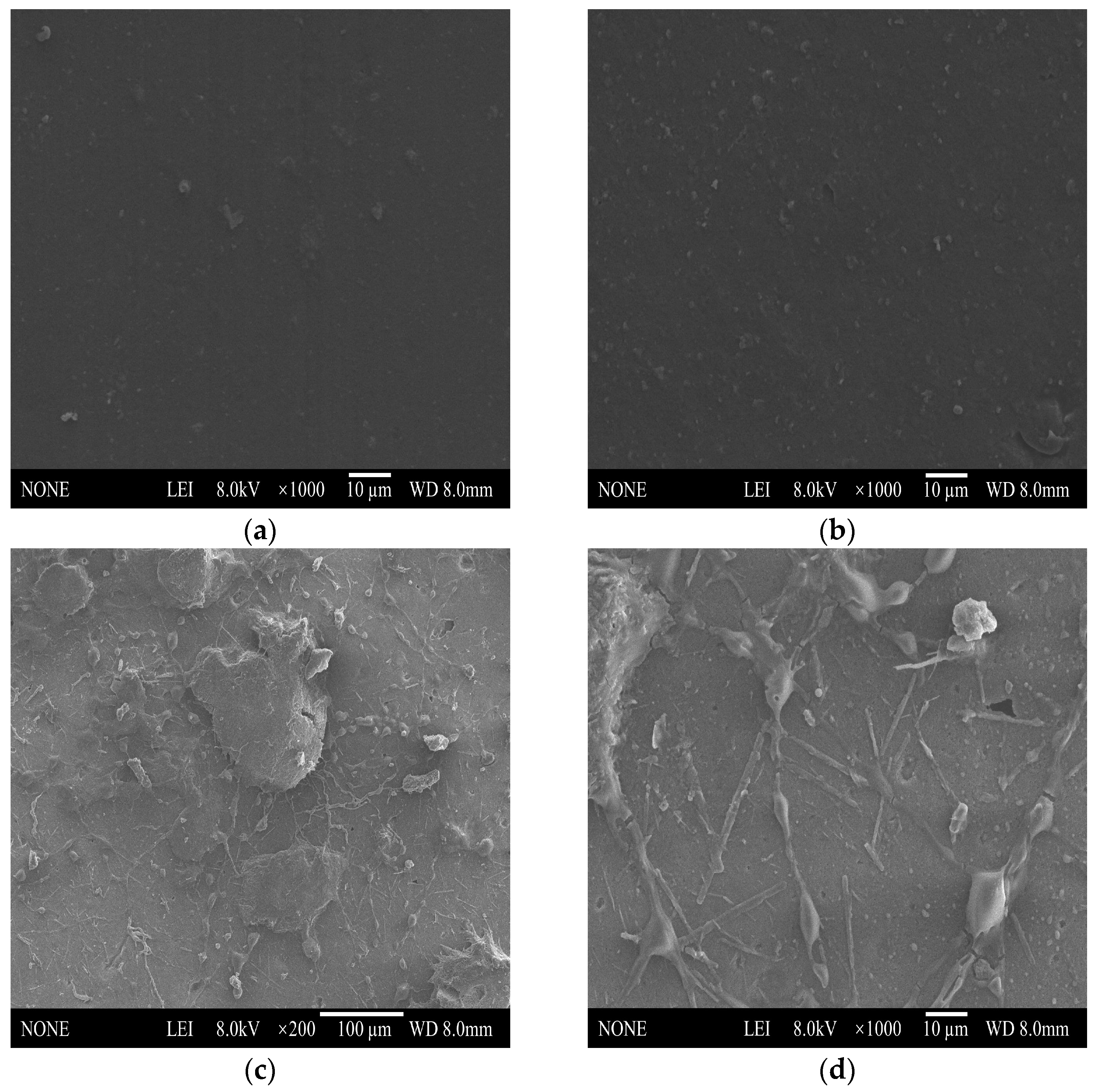 Polymers 16 00181 g004