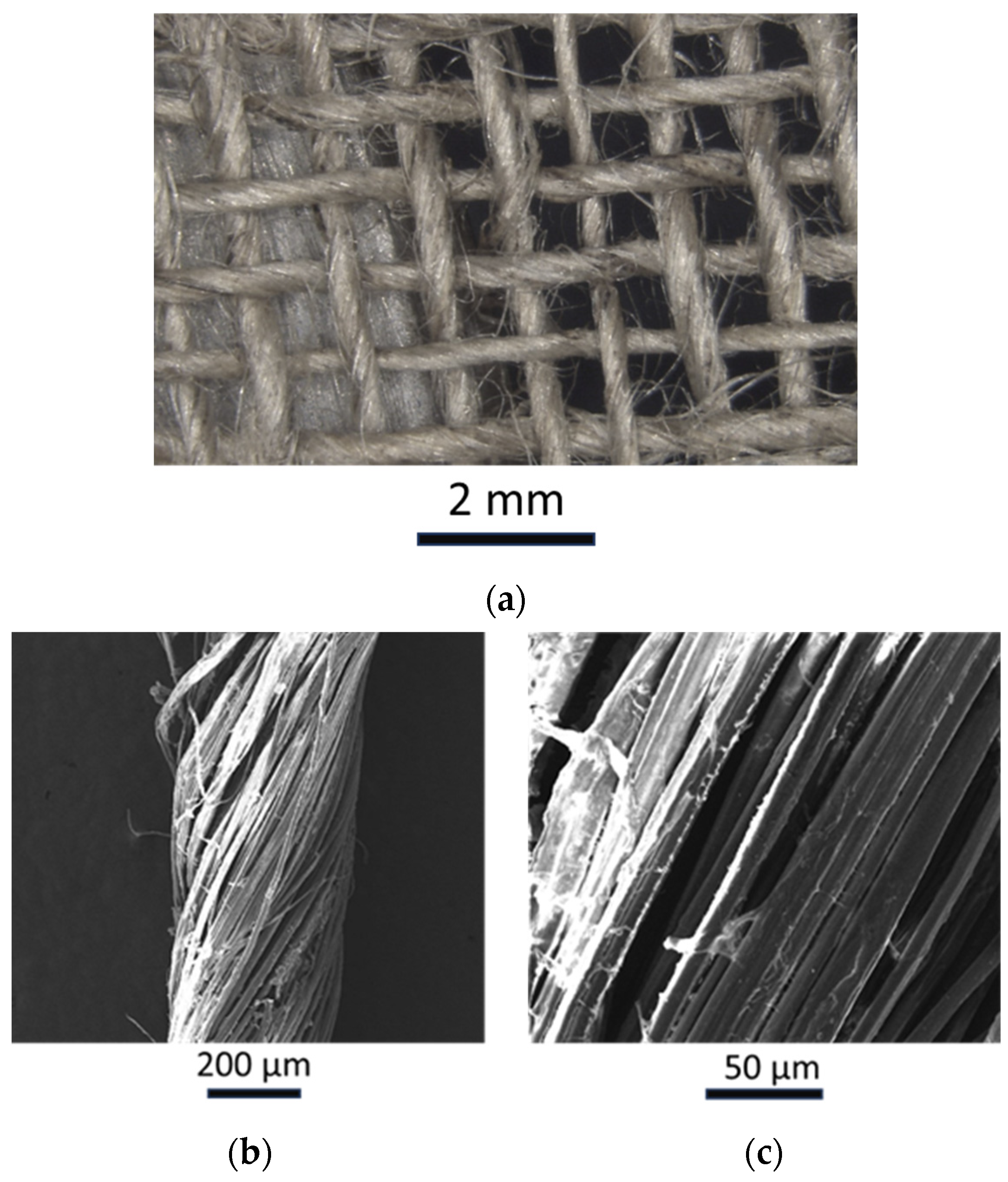 Polymers 16 00190 g001