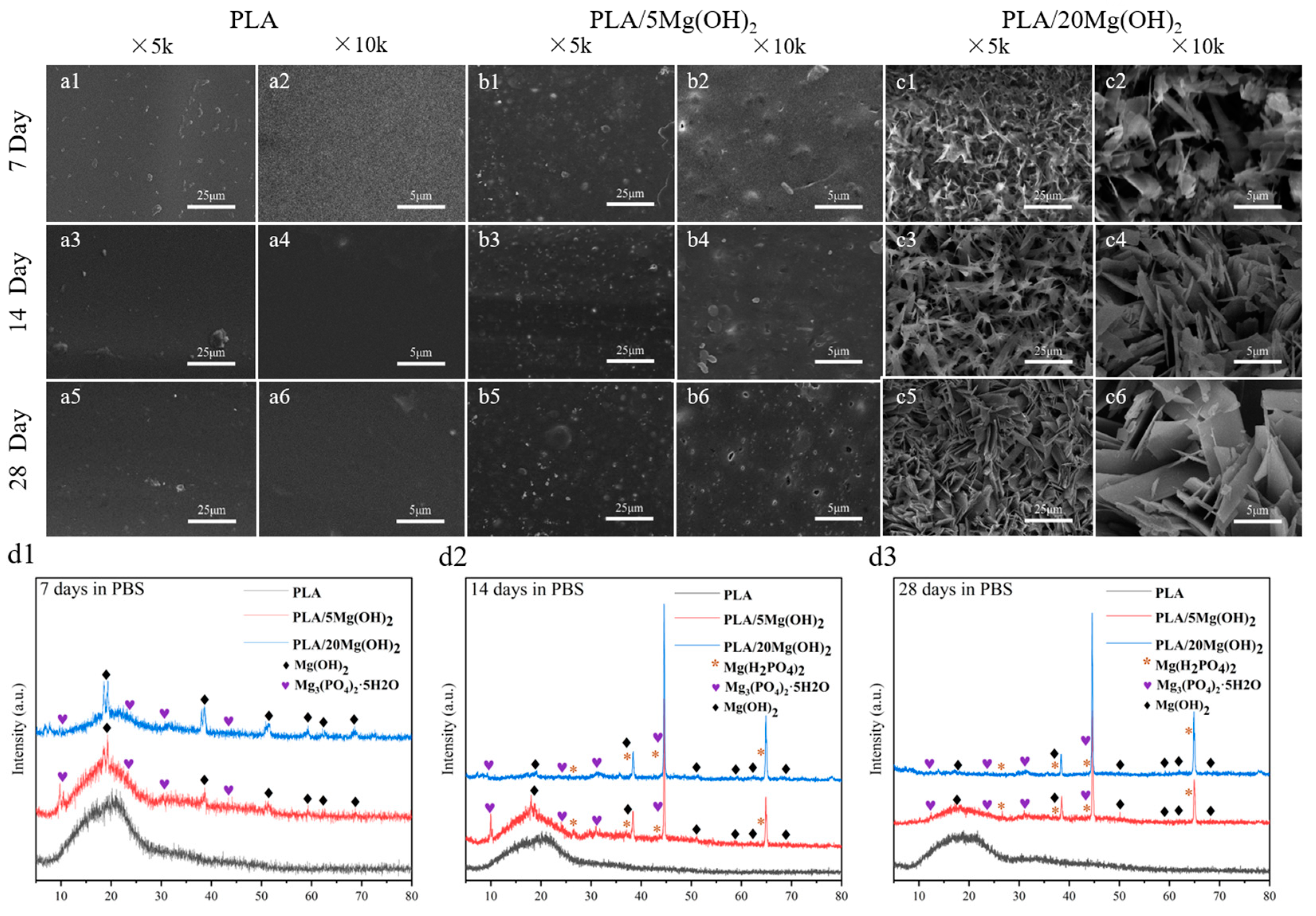 Polymers 16 00198 g007