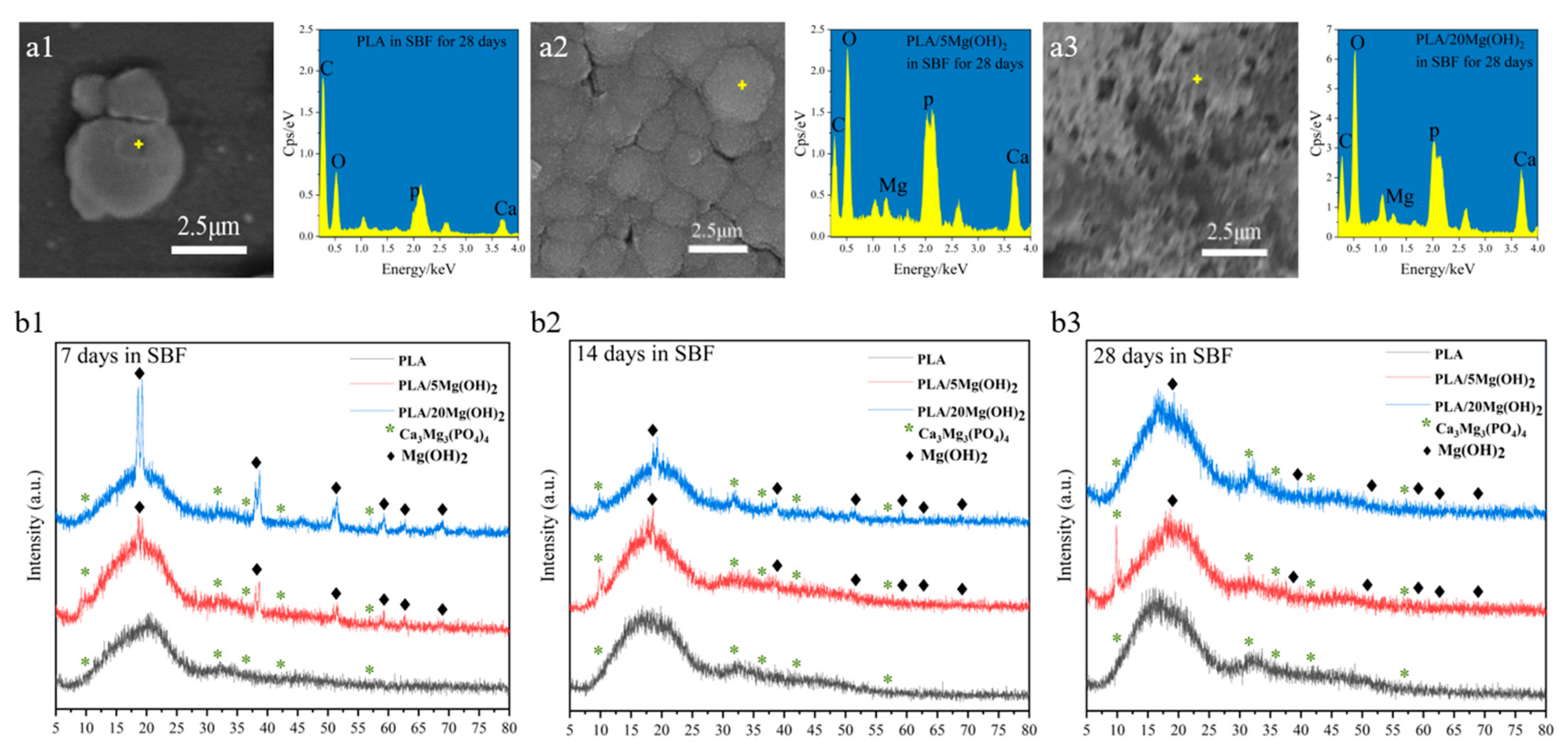 Polymers 16 00198 g009