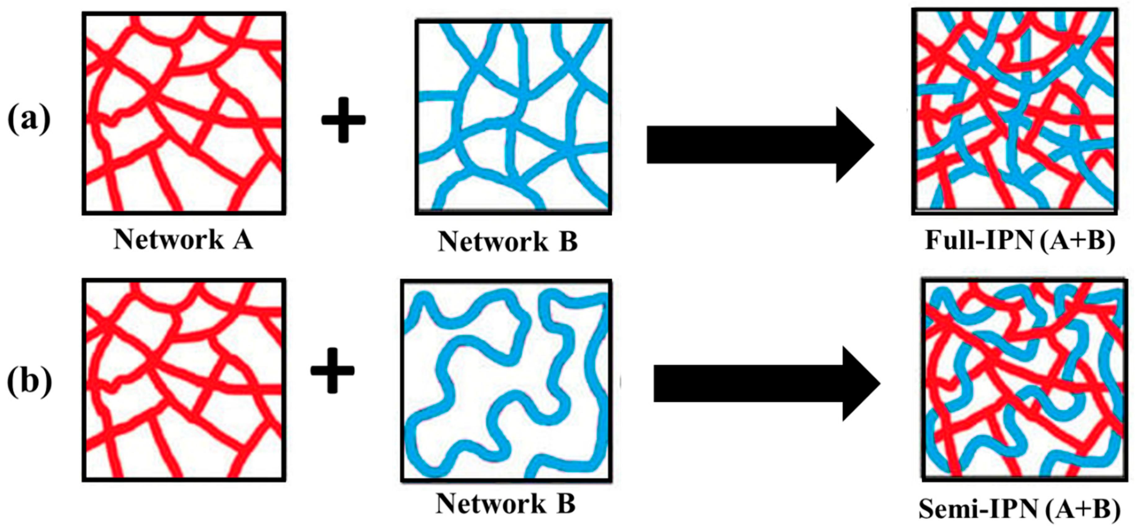 Polymers 16 00206 g006