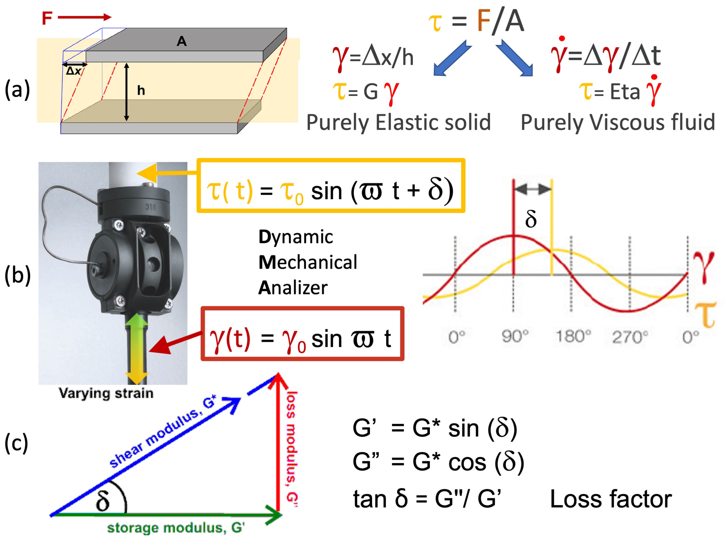 Polymers 16 00211 g002