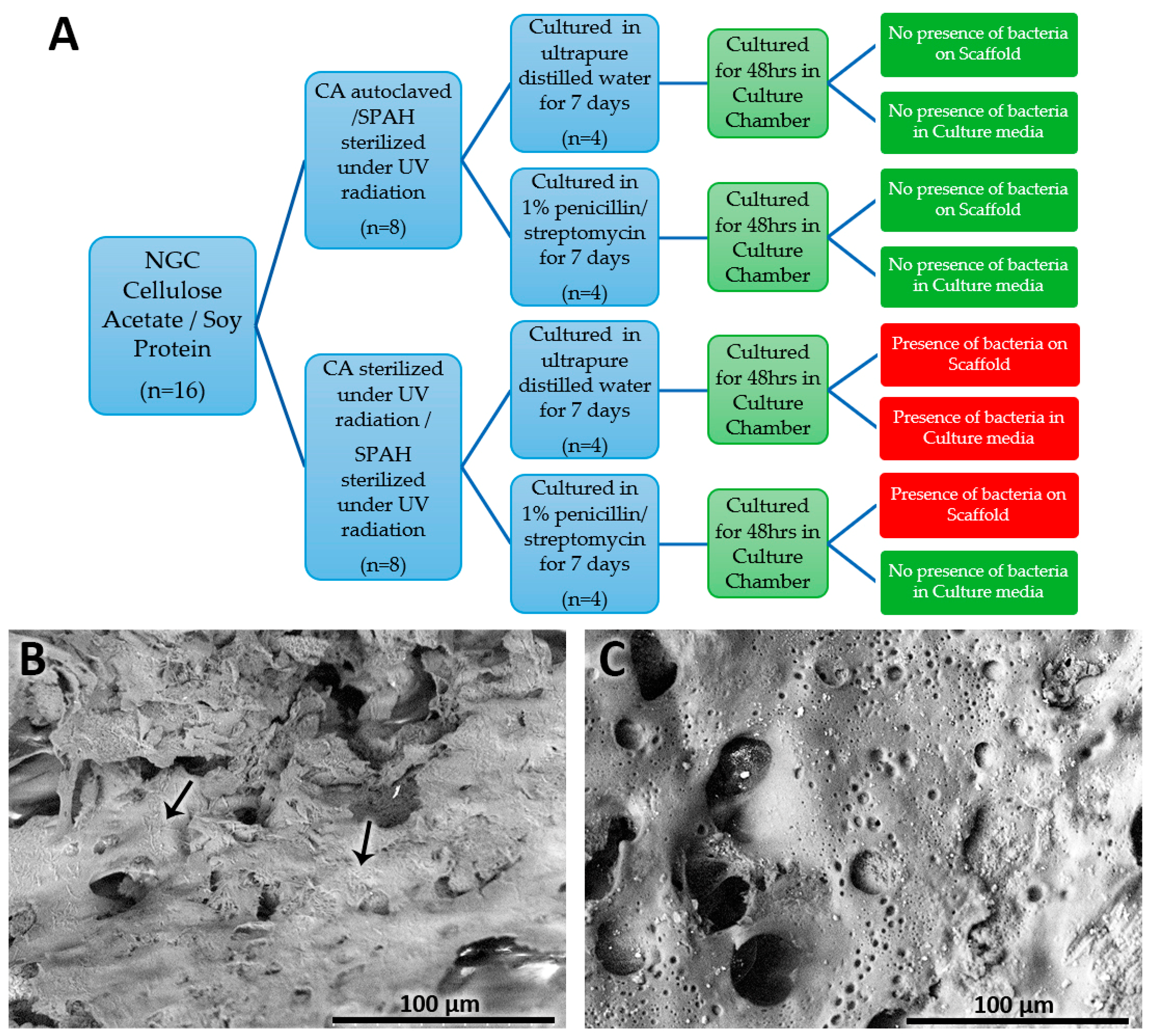 Polymers 16 00216 g002