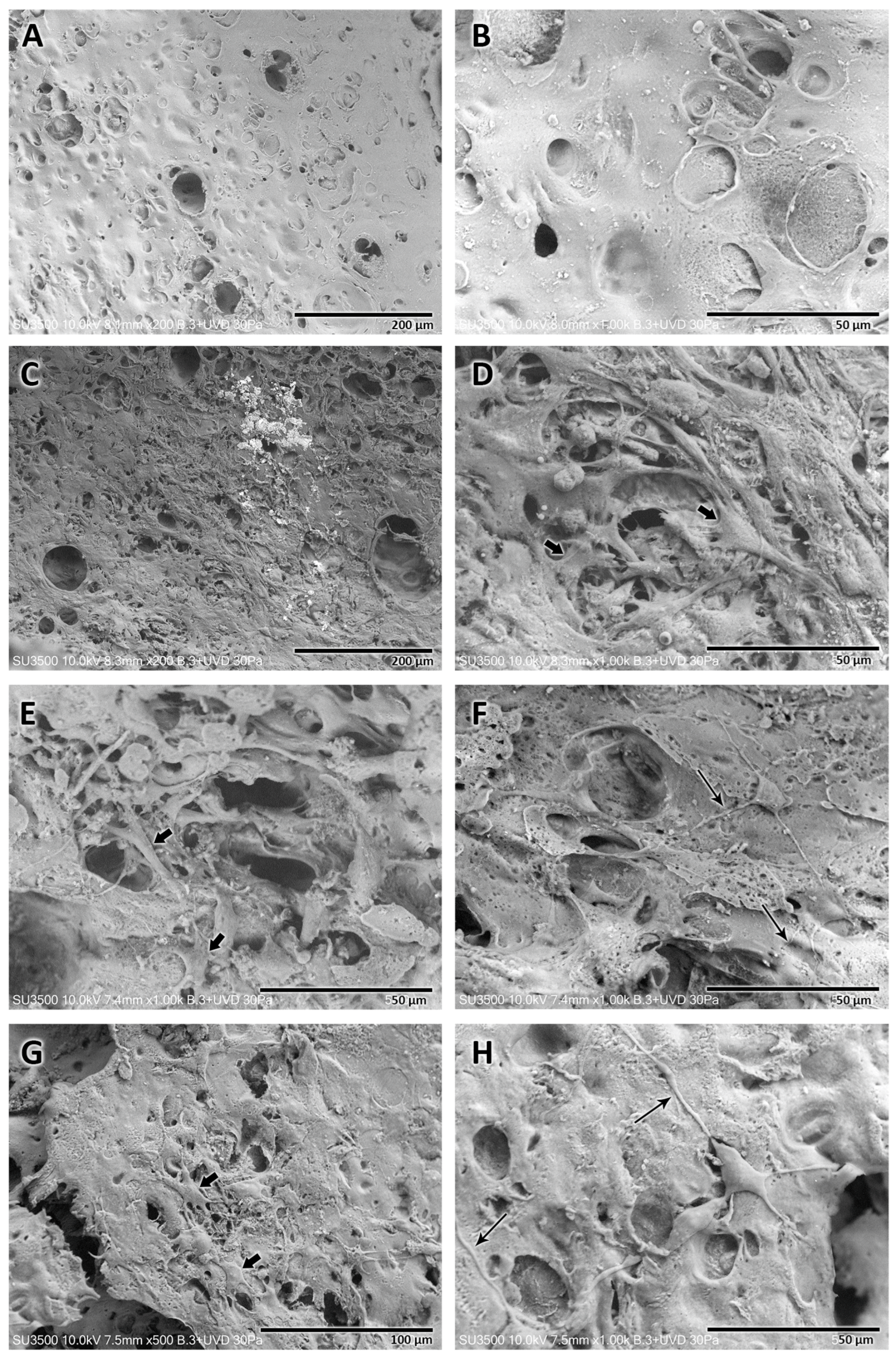 Polymers 16 00216 g005