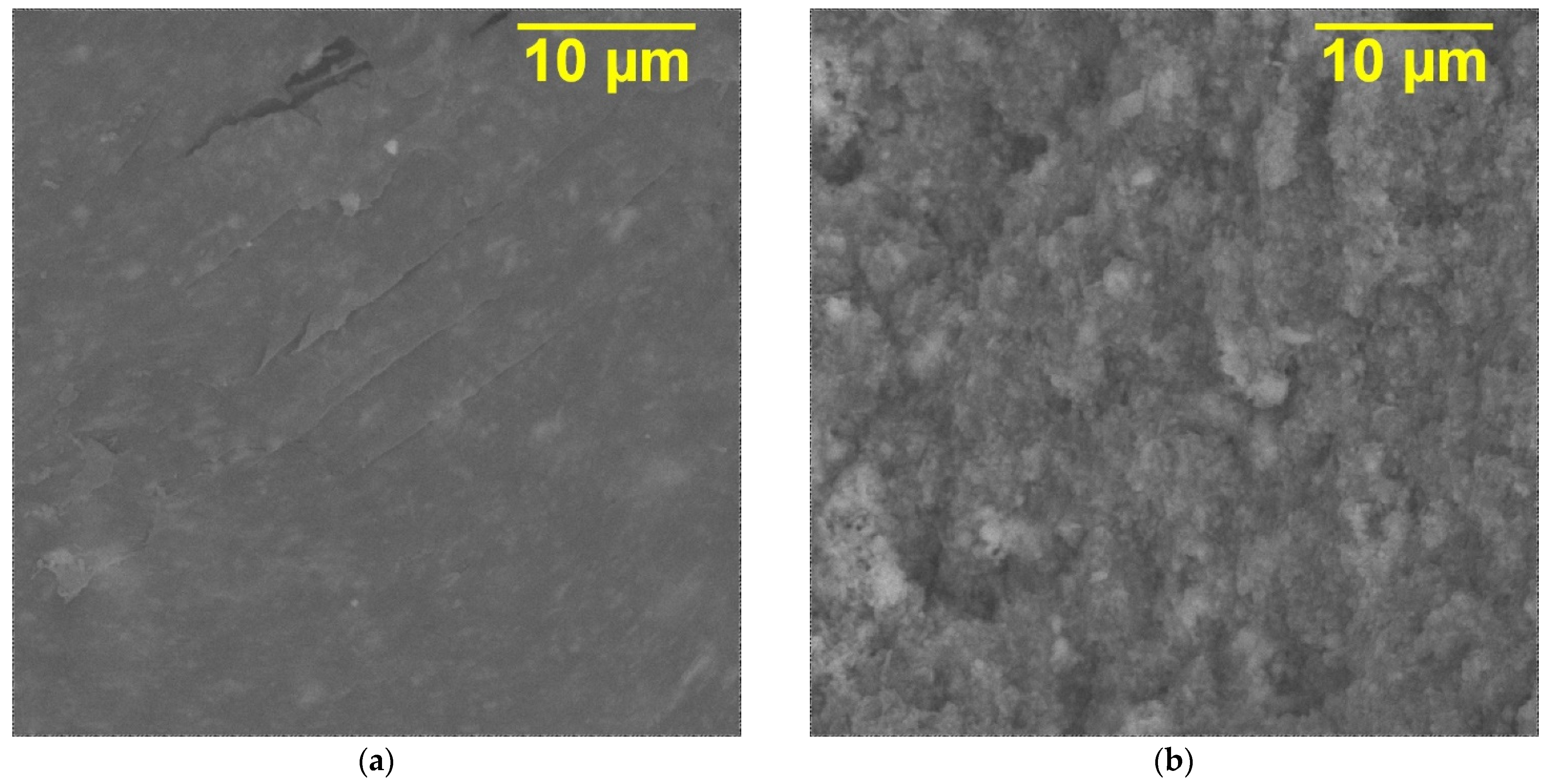 Polymers 16 00223 g004
