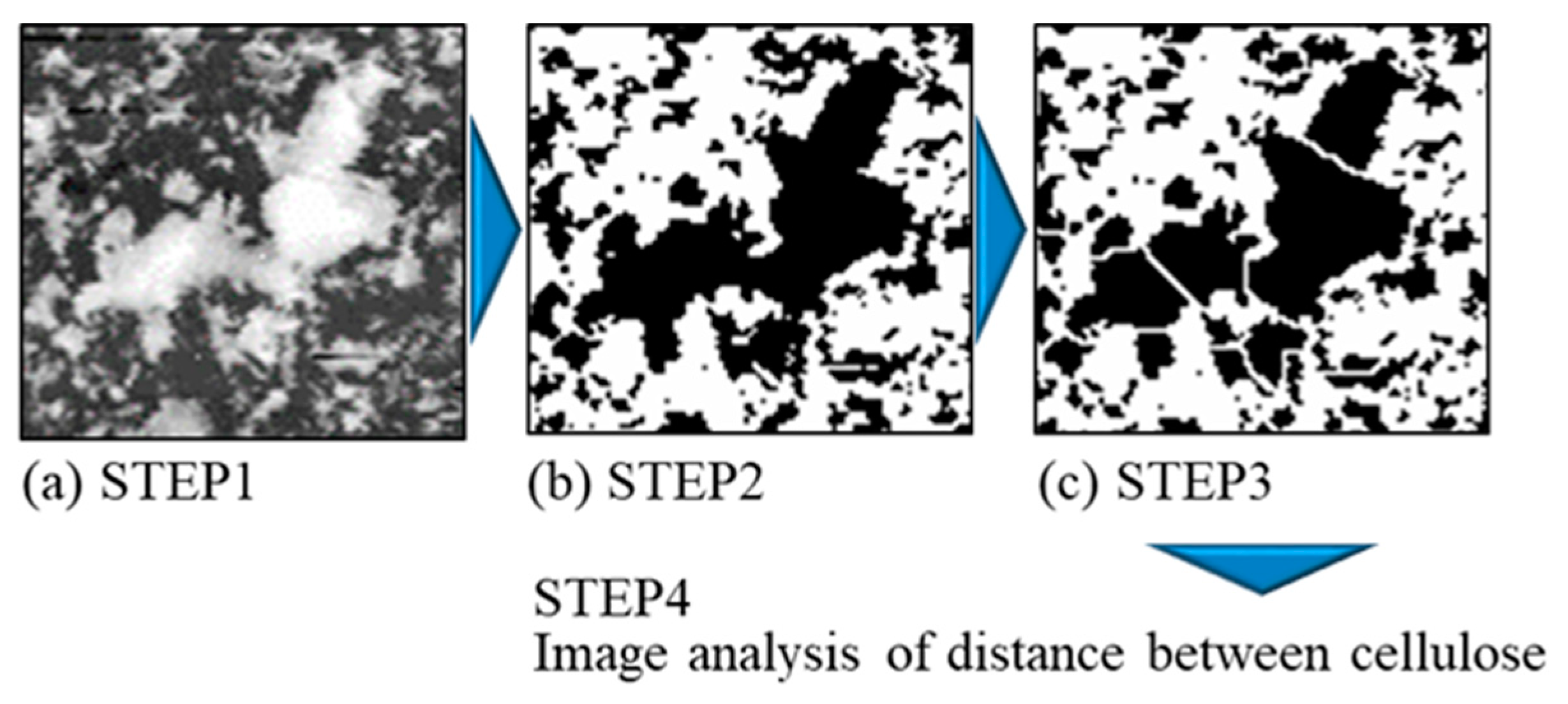 Polymers 16 00224 g004