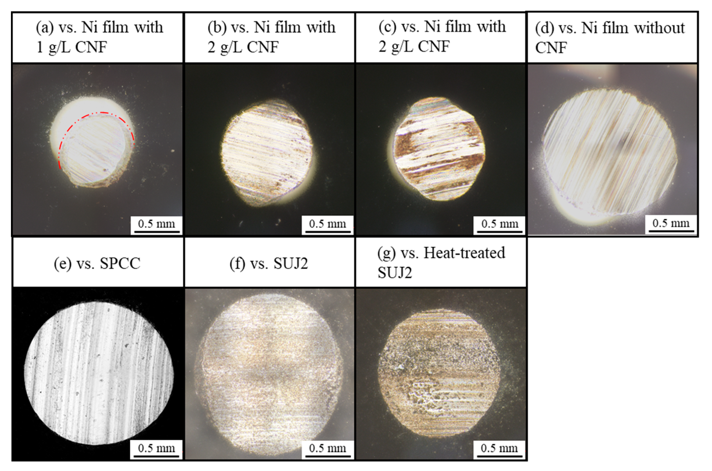 Polymers 16 00224 g013