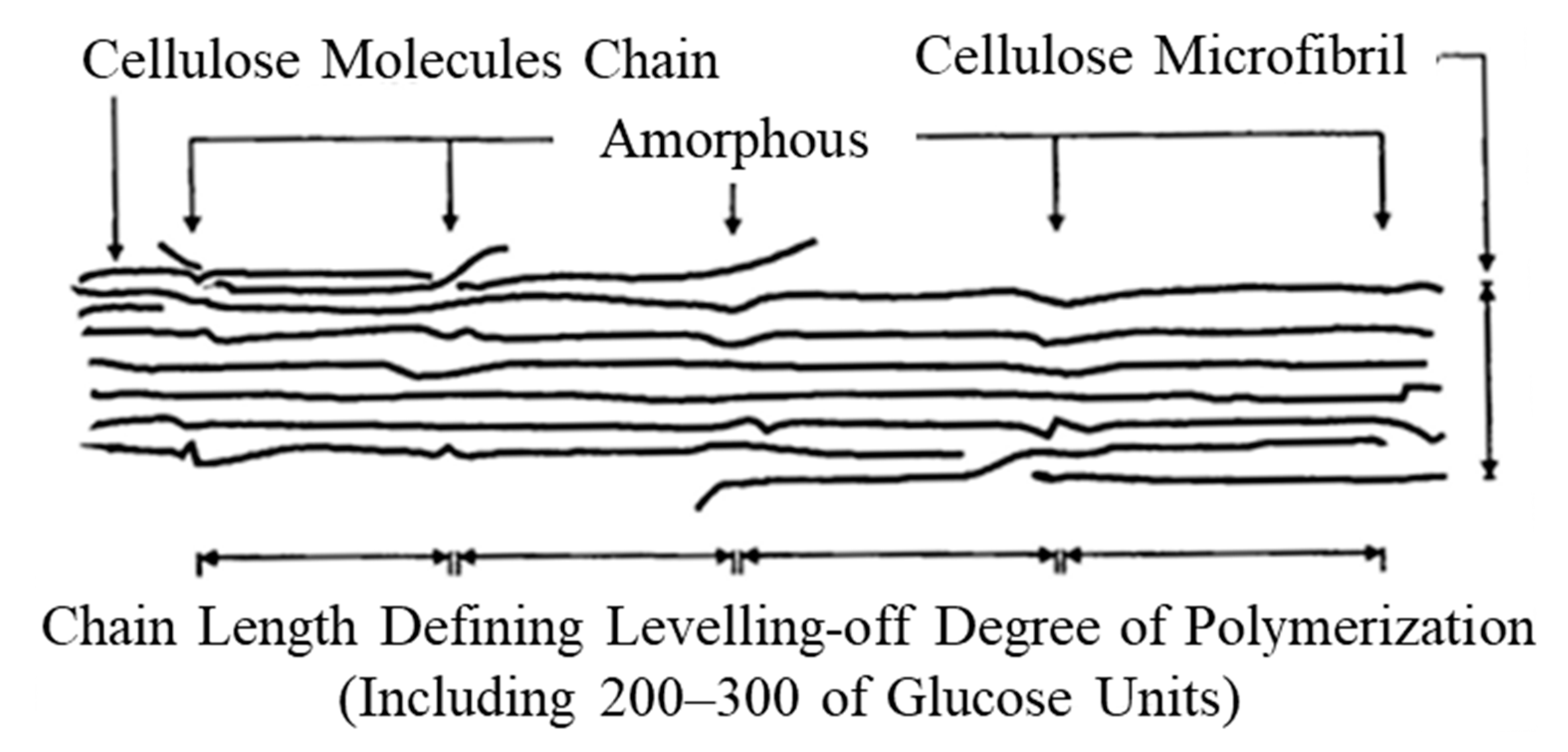 Polymers 16 00224 g015