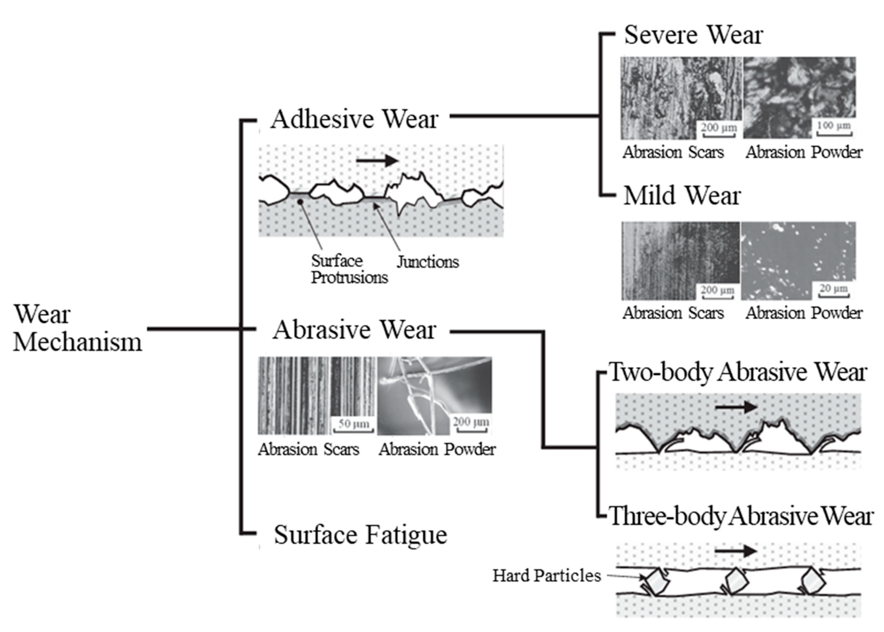 Polymers 16 00224 g016