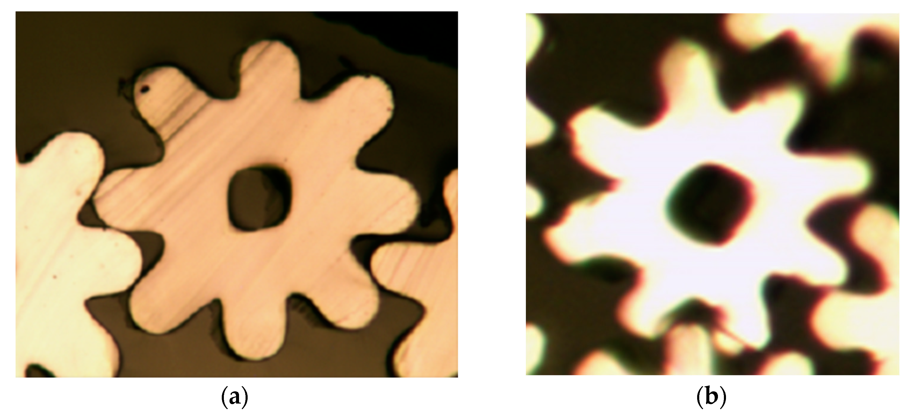 Polymers 16 00228 g017a