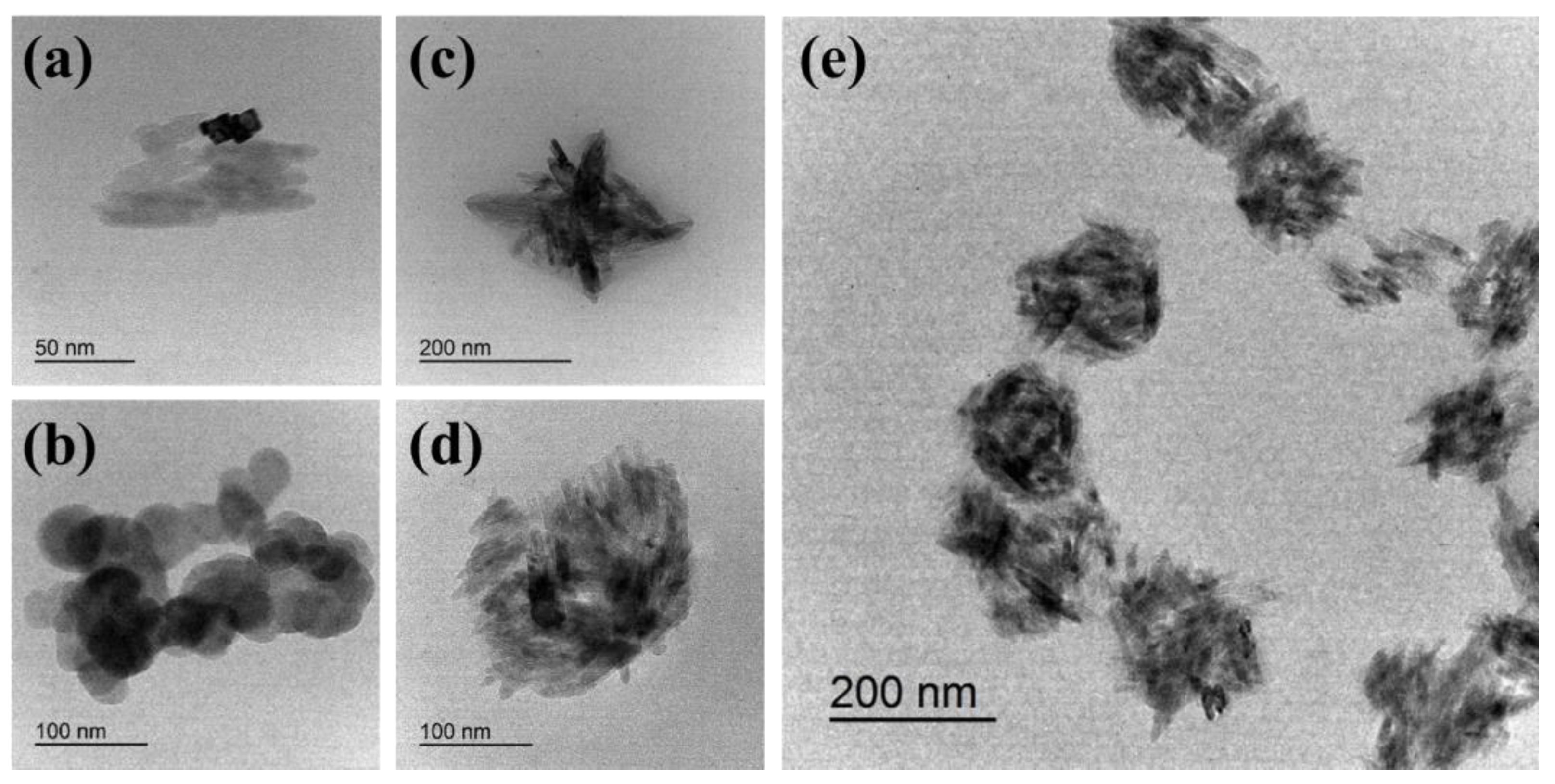 Polymers 16 00234 g005