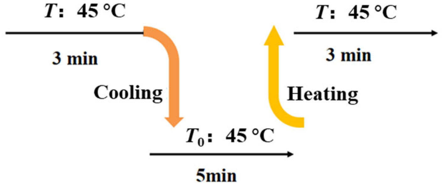 Polymers 16 00243 g004