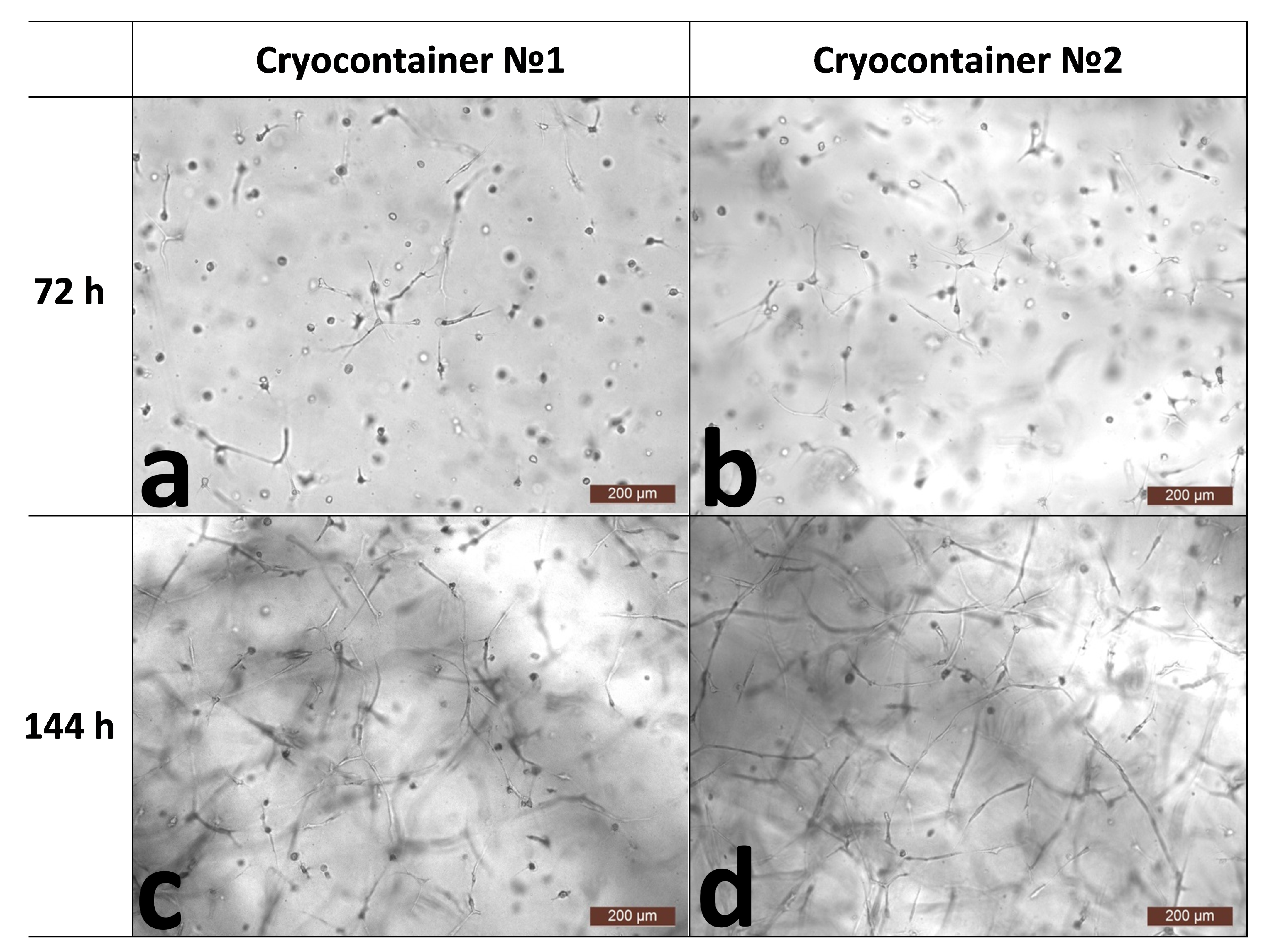 Polymers 16 00247 g001