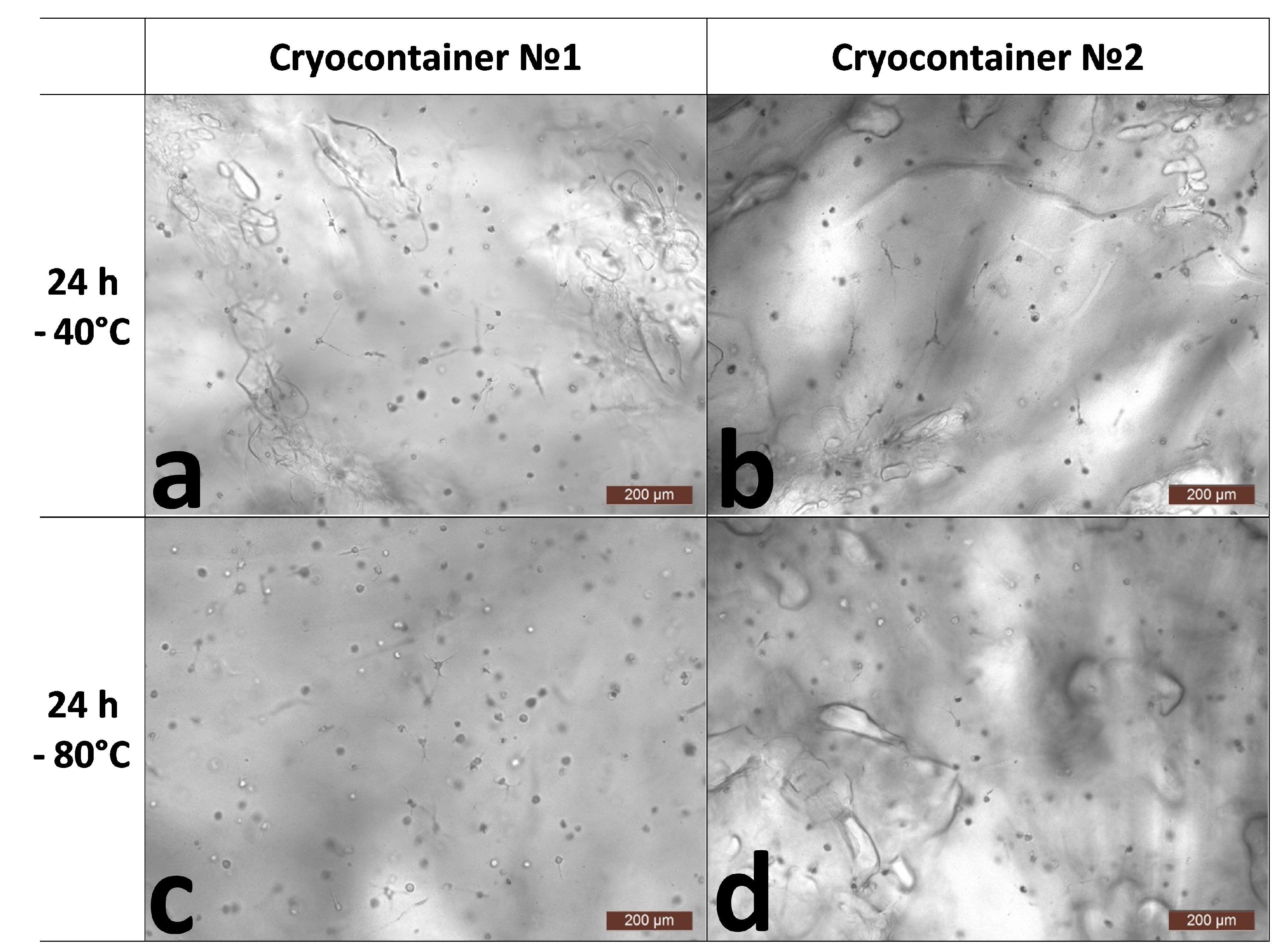 Polymers 16 00247 g002