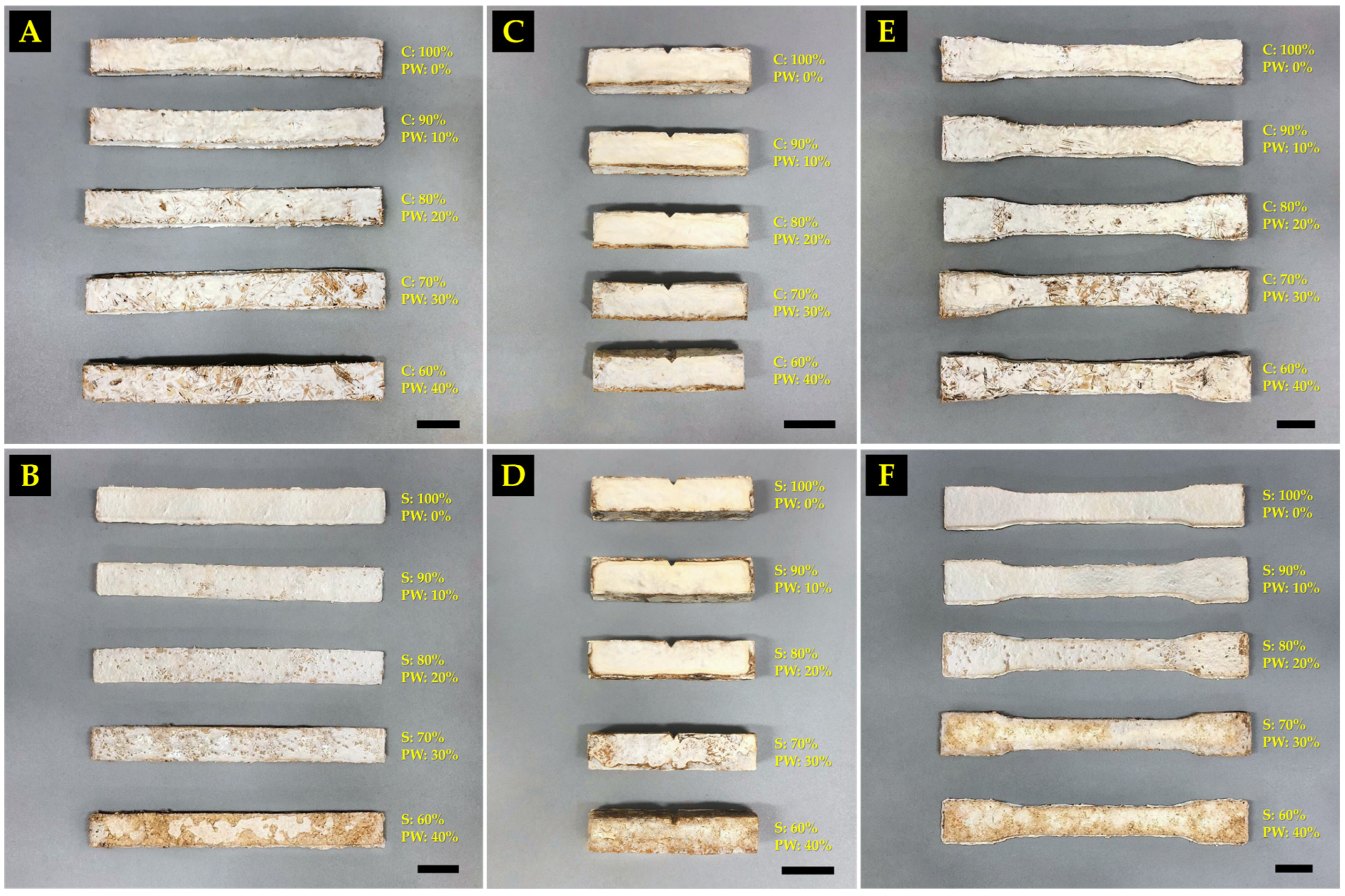 Polymers 16 00262 g006