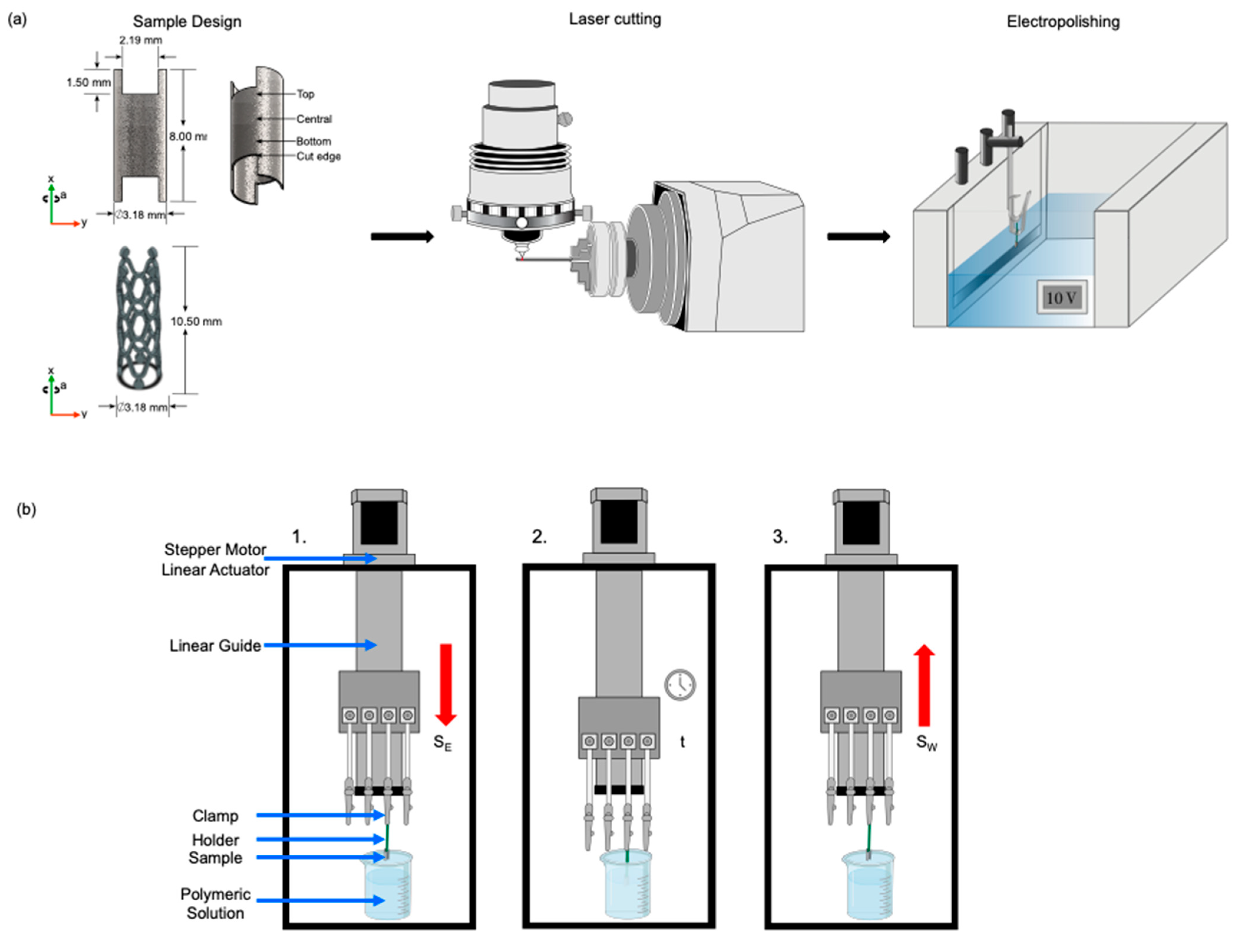 Polymers 16 00284 g001 Polymers 16 00284 g001