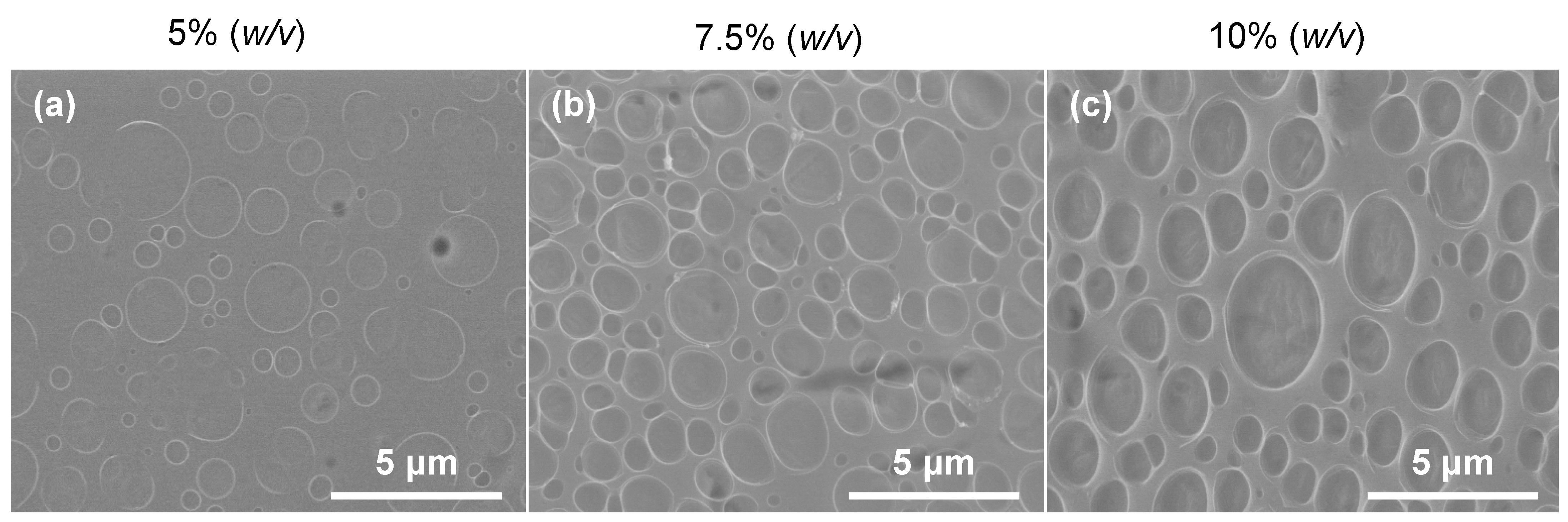 Polymers 16 00284 g009 Polymers 16 00284 g009