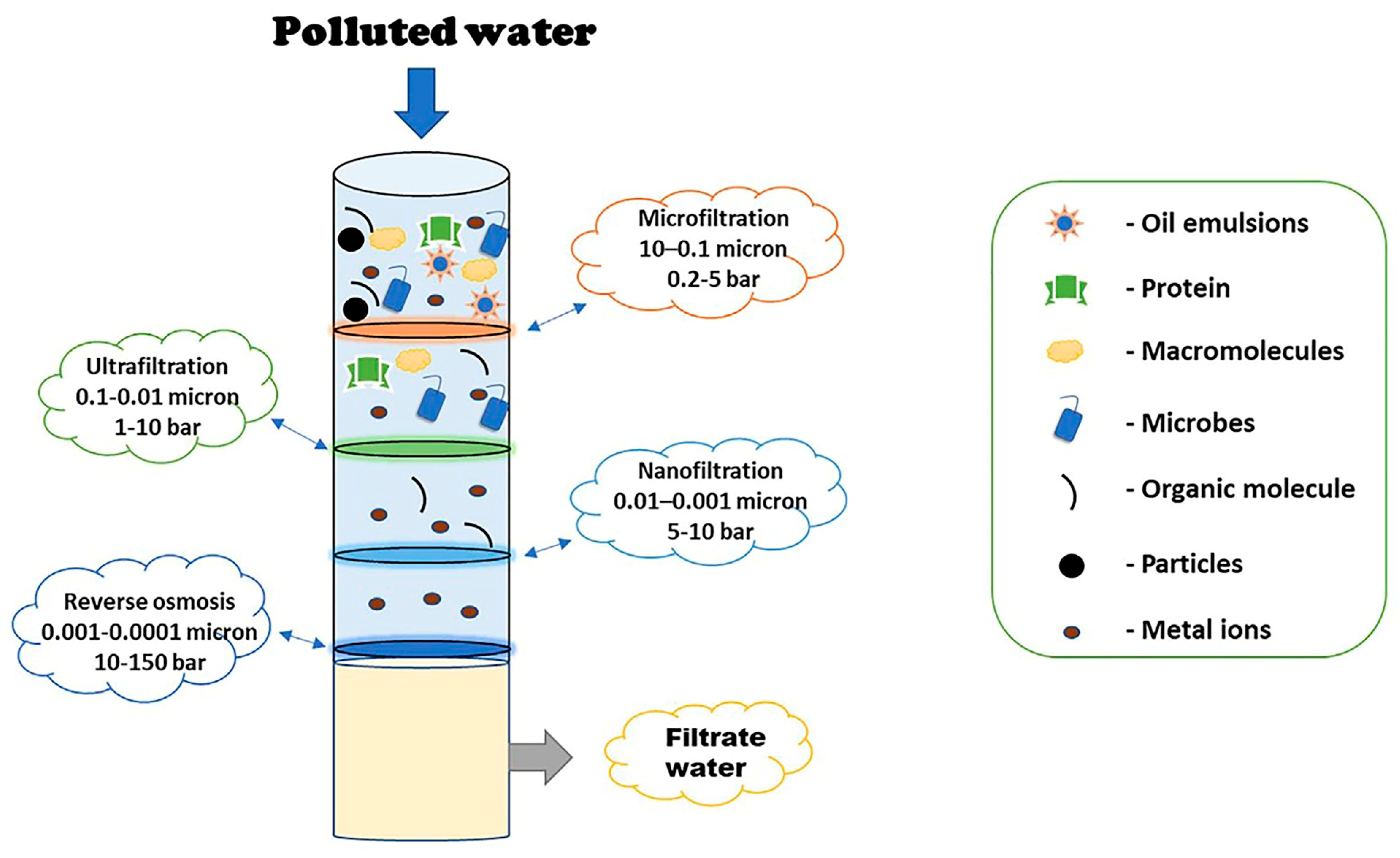 Nanofiltration” Enabled by Super-Absorbent Polymer Beads for Concentrating  Microorganisms in Water Samples