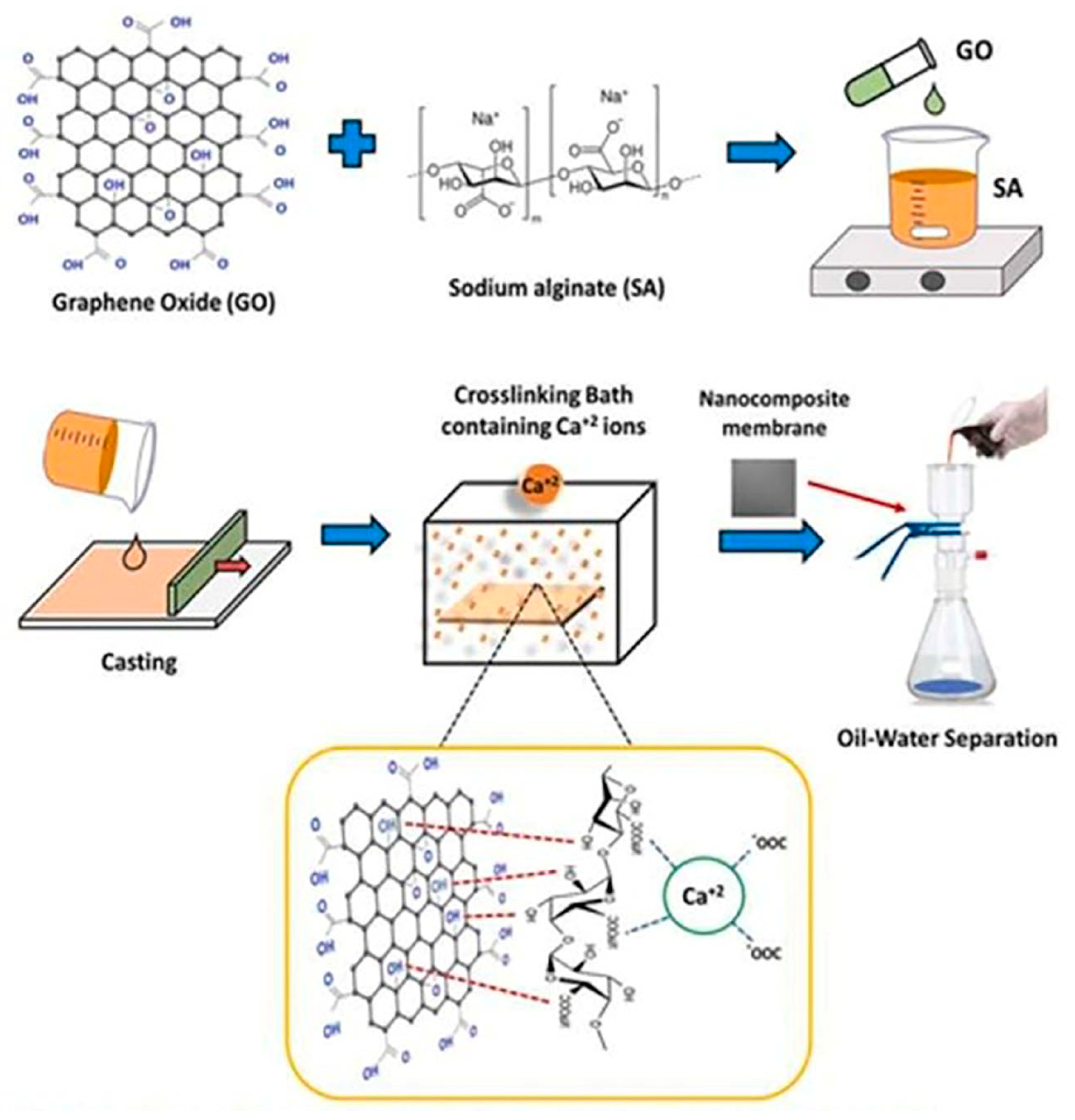 Polymers 16 00294 g006