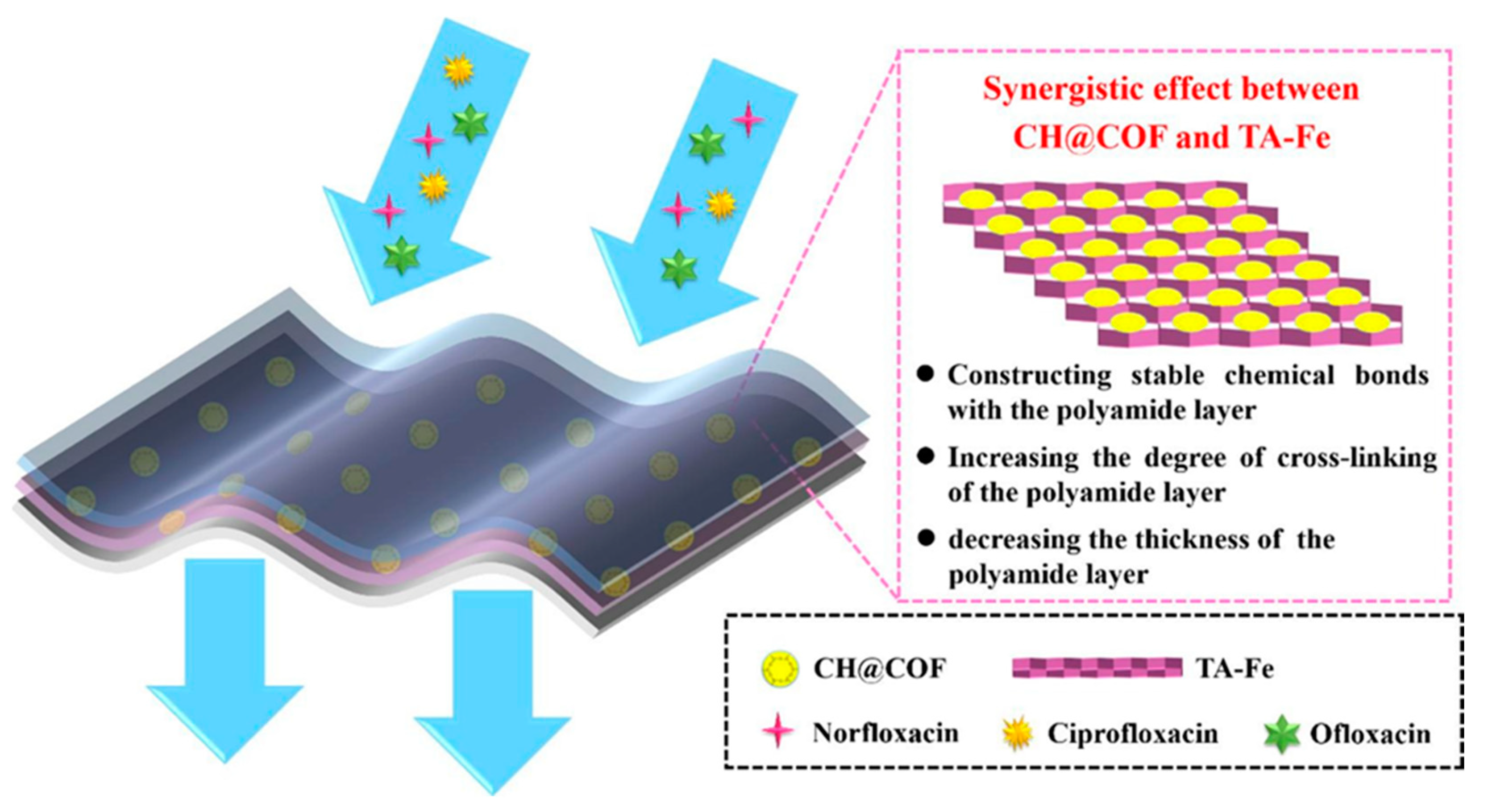Polymers 16 00294 g008