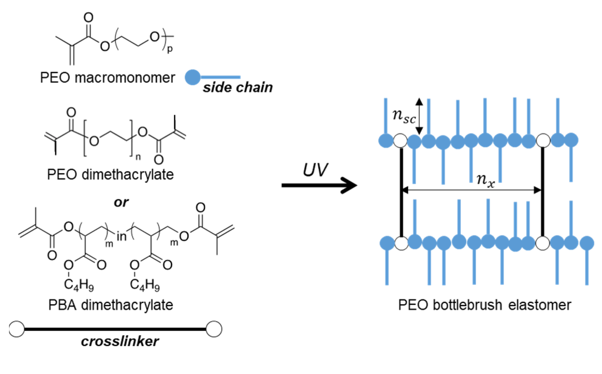 Polymers 16 00296 sch001