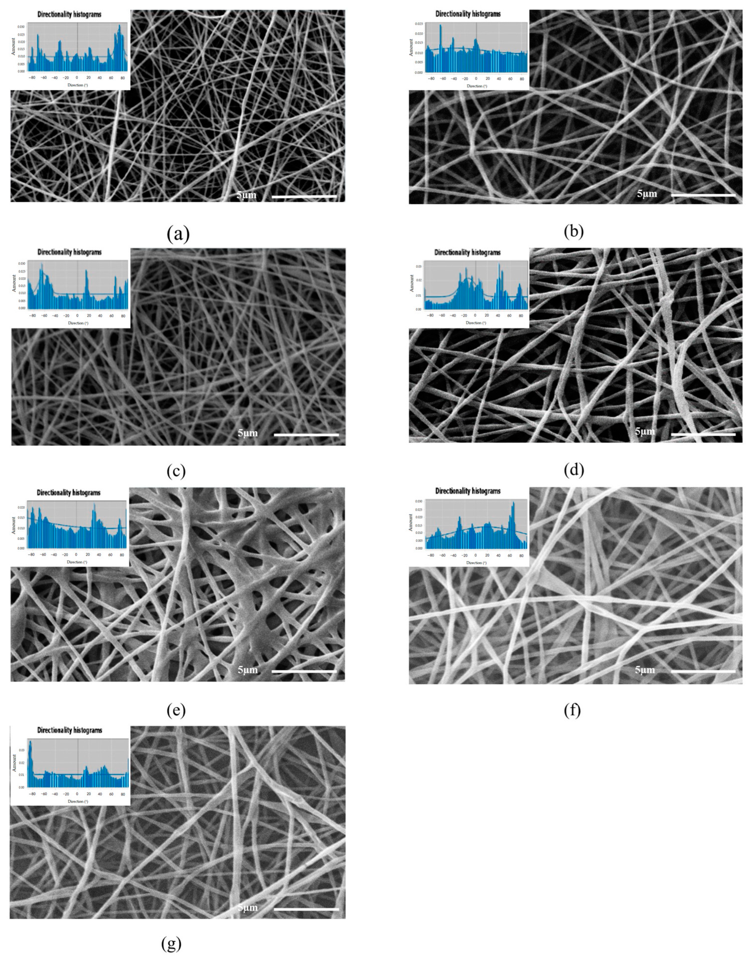 Polymers 16 00300 g002