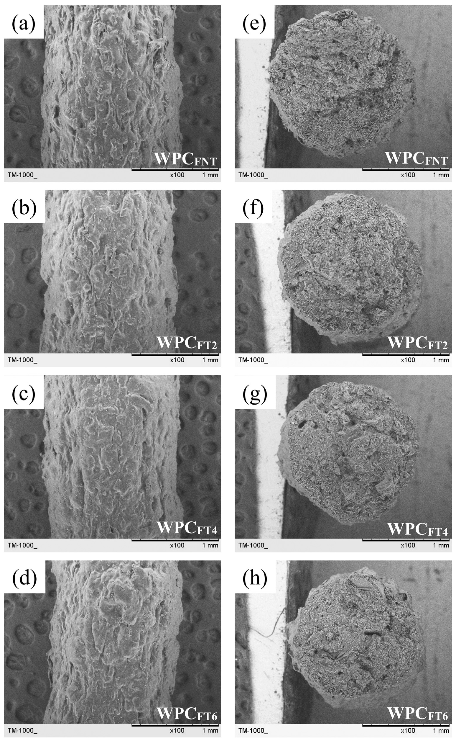 Polymers 16 00302 g003