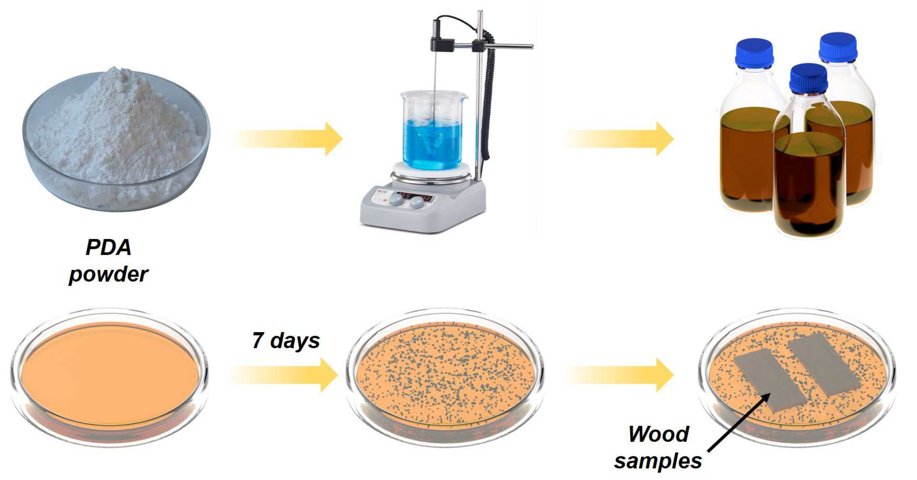 Polymers 16 00313 g002