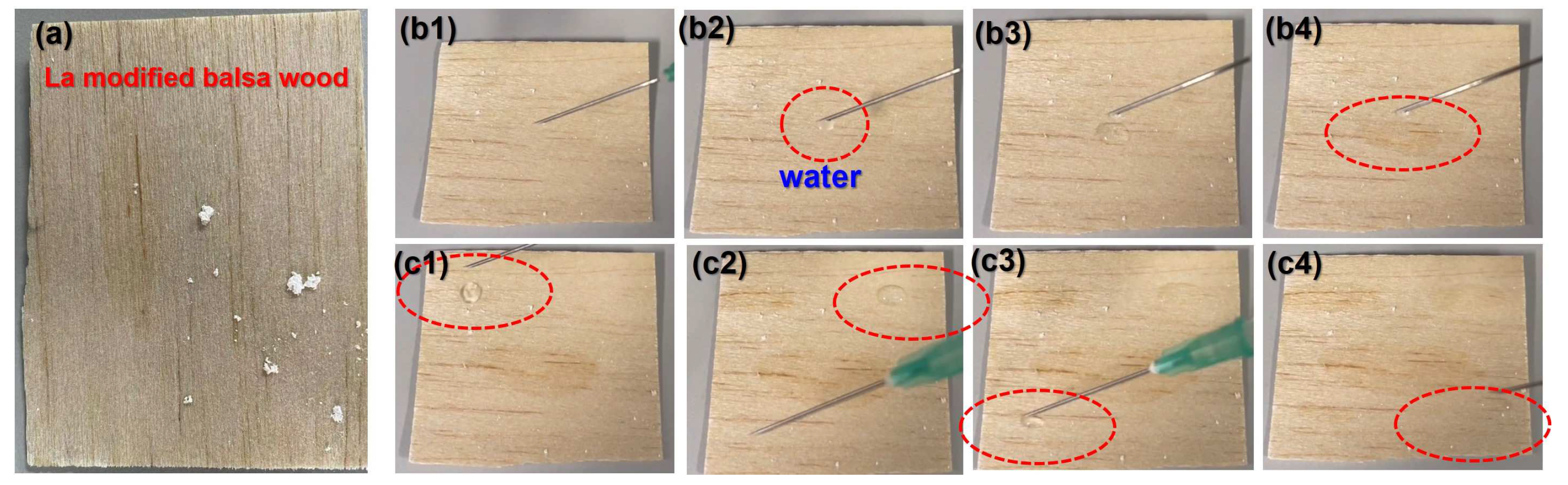 Polymers 16 00313 g006