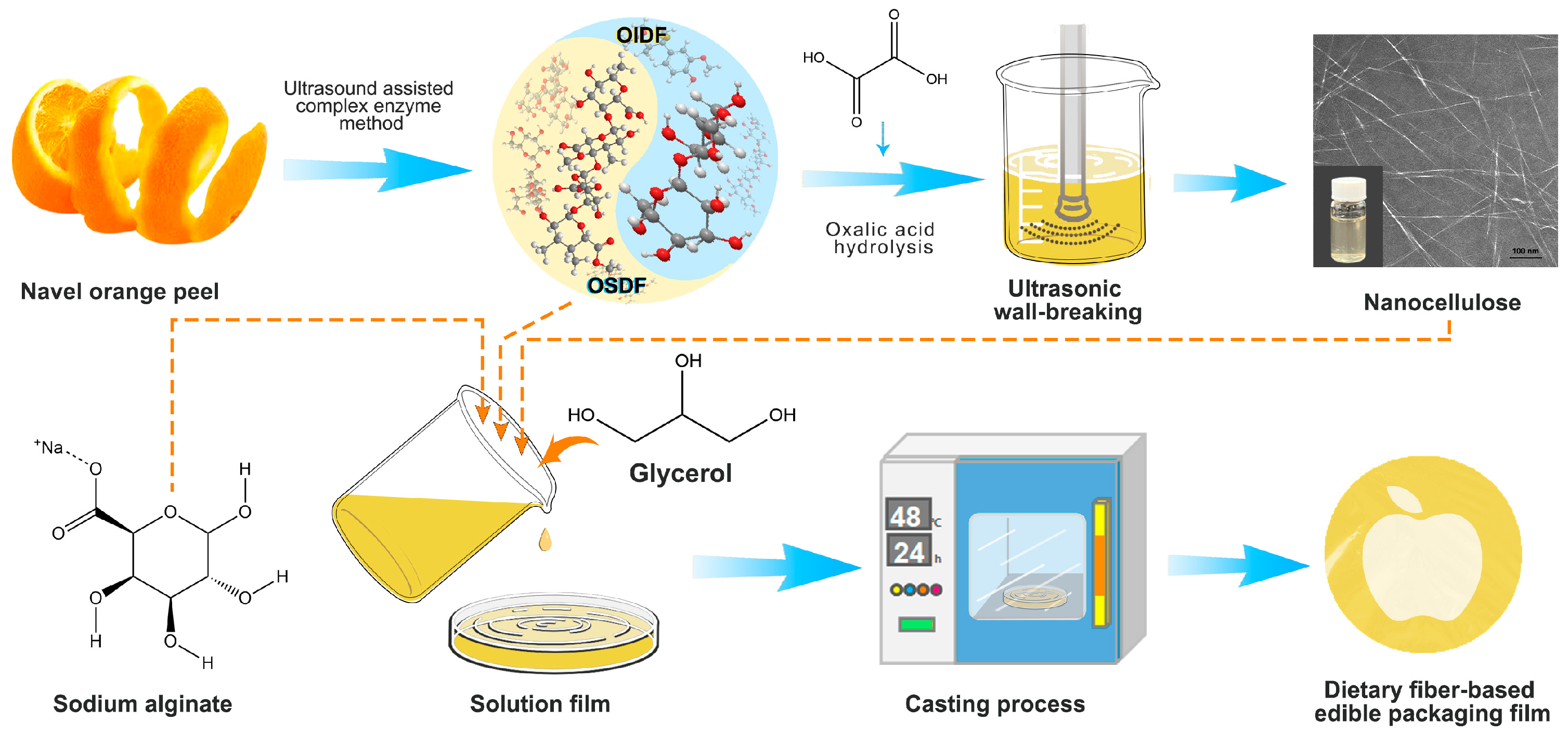 Polymers 16 00315 g001