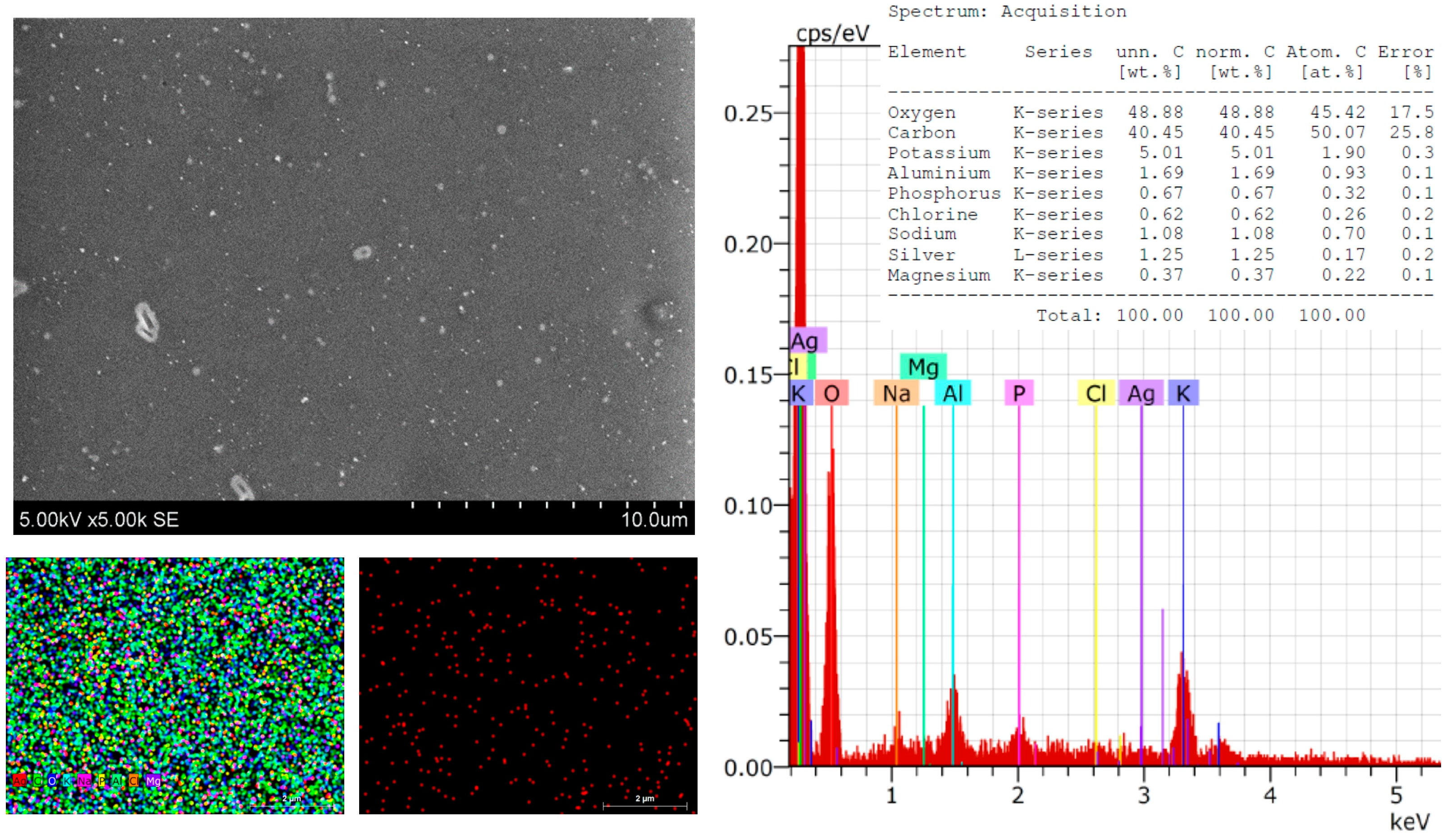 Polymers 16 00317 g003