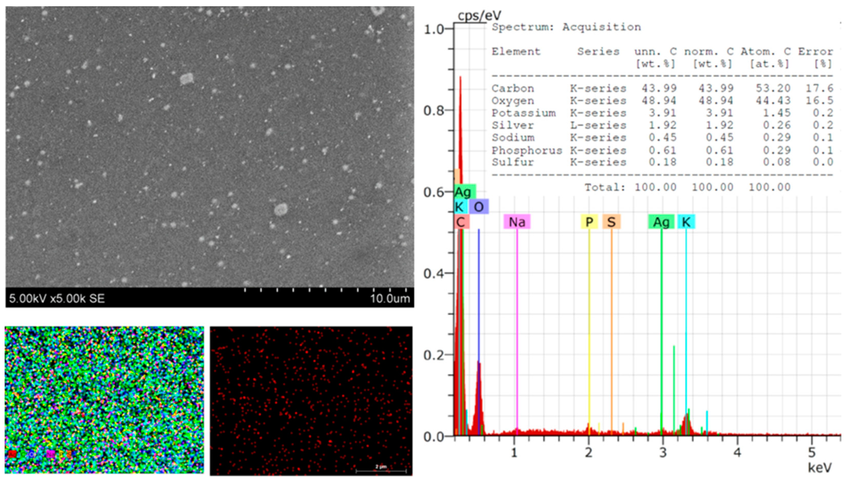 Polymers 16 00317 g005